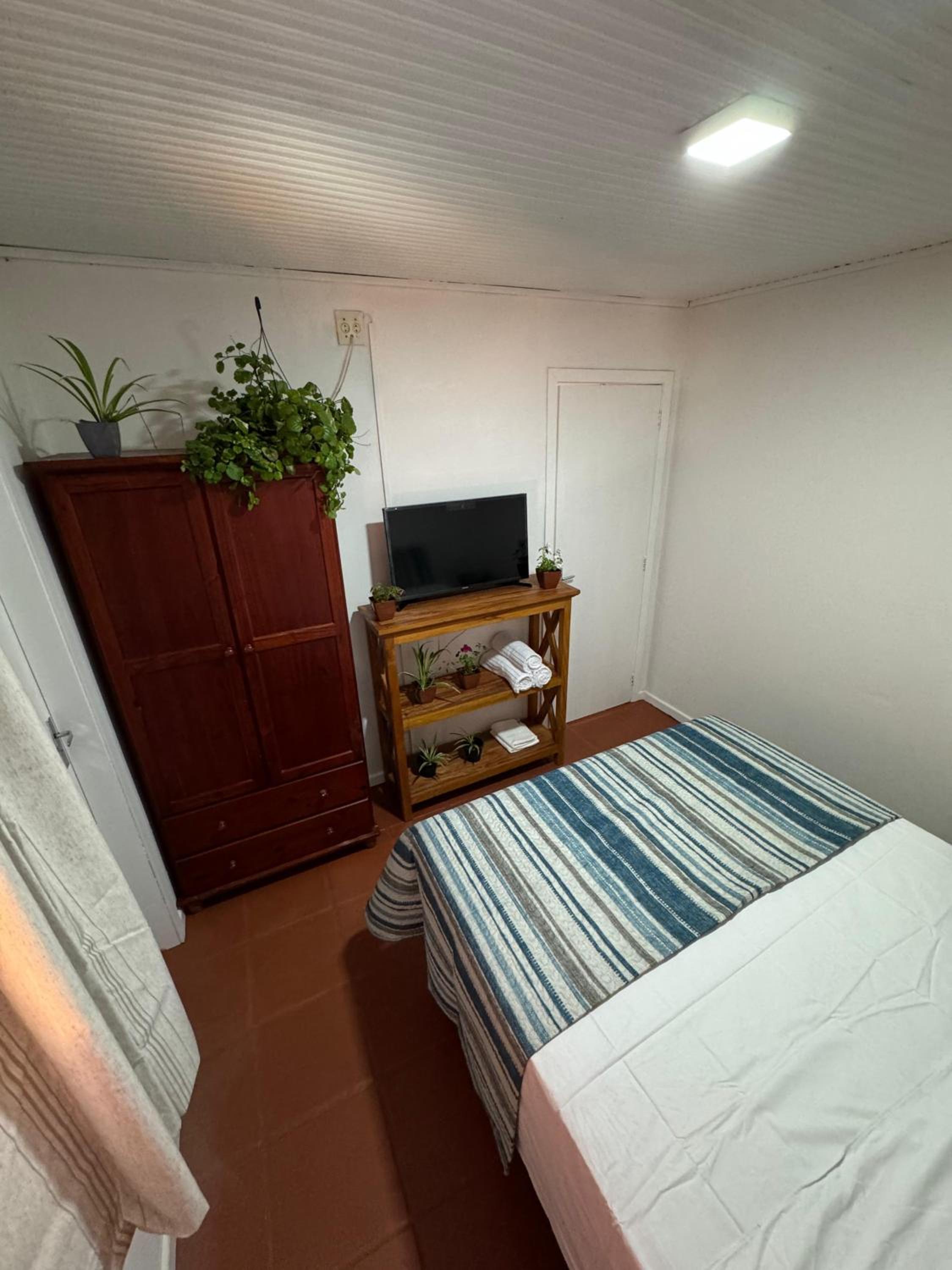 Standard Twin Room photo 3