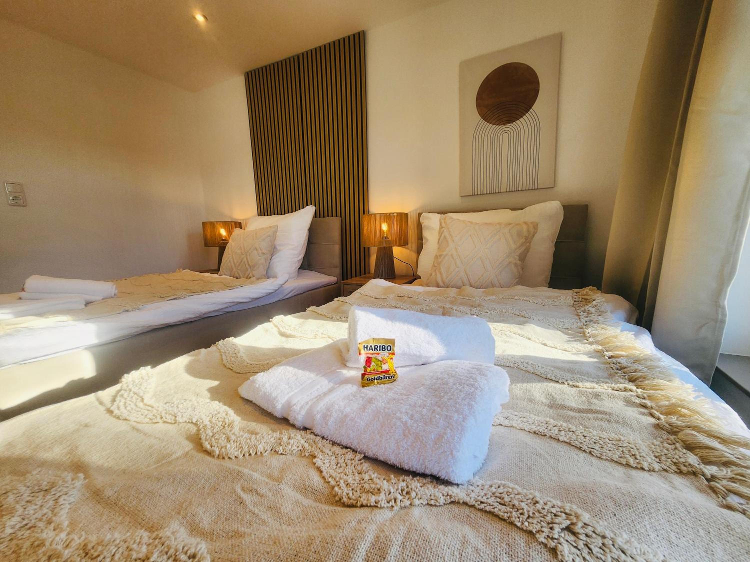 Deluxe One-Bedroom Apartment
