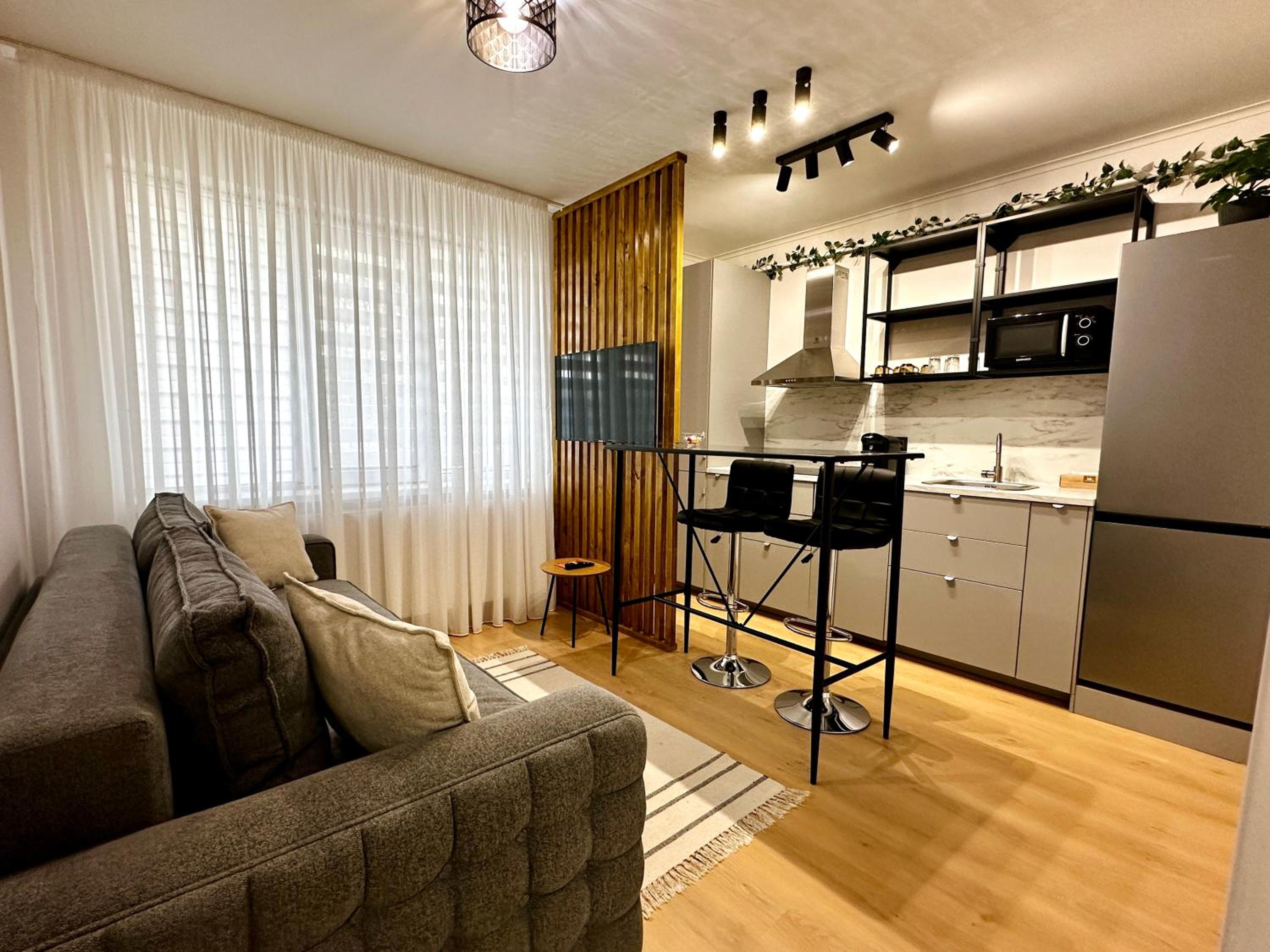One-Bedroom Apartment