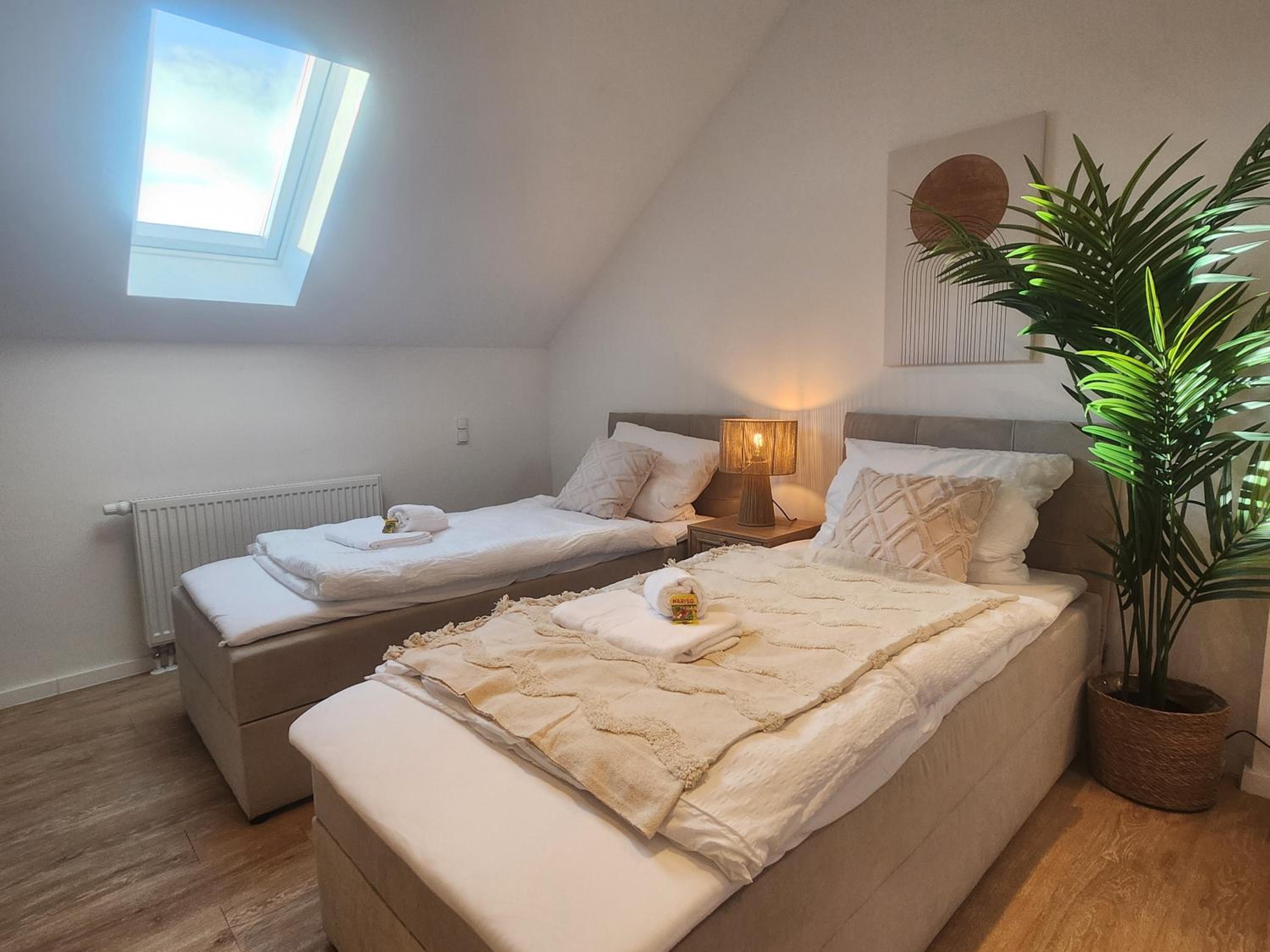 Deluxe One-Bedroom Apartment