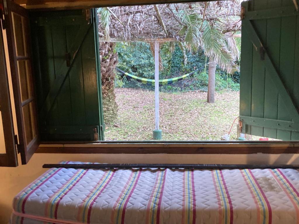 One-Bedroom House photo 3