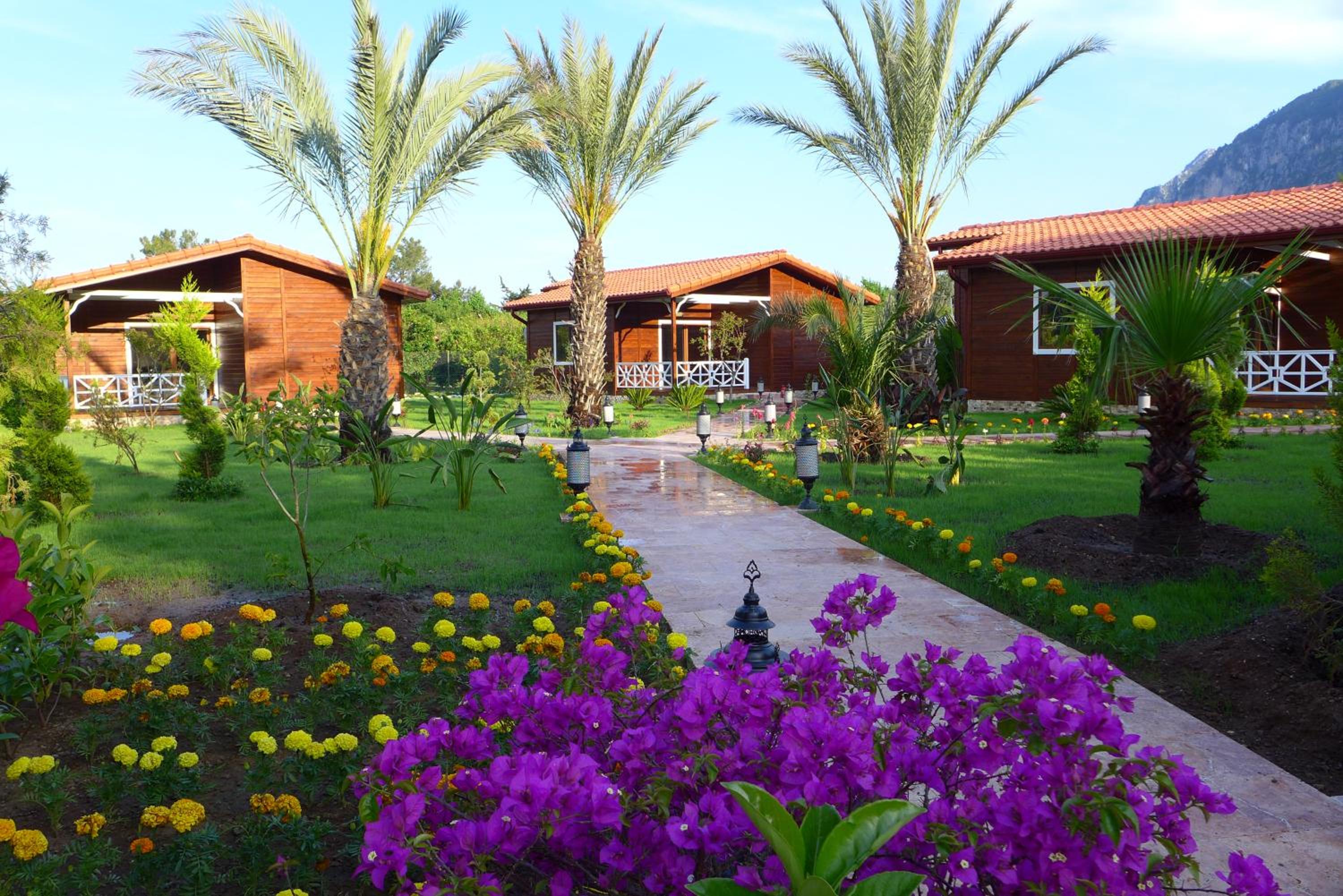 Deluxe Bungalow photo 3