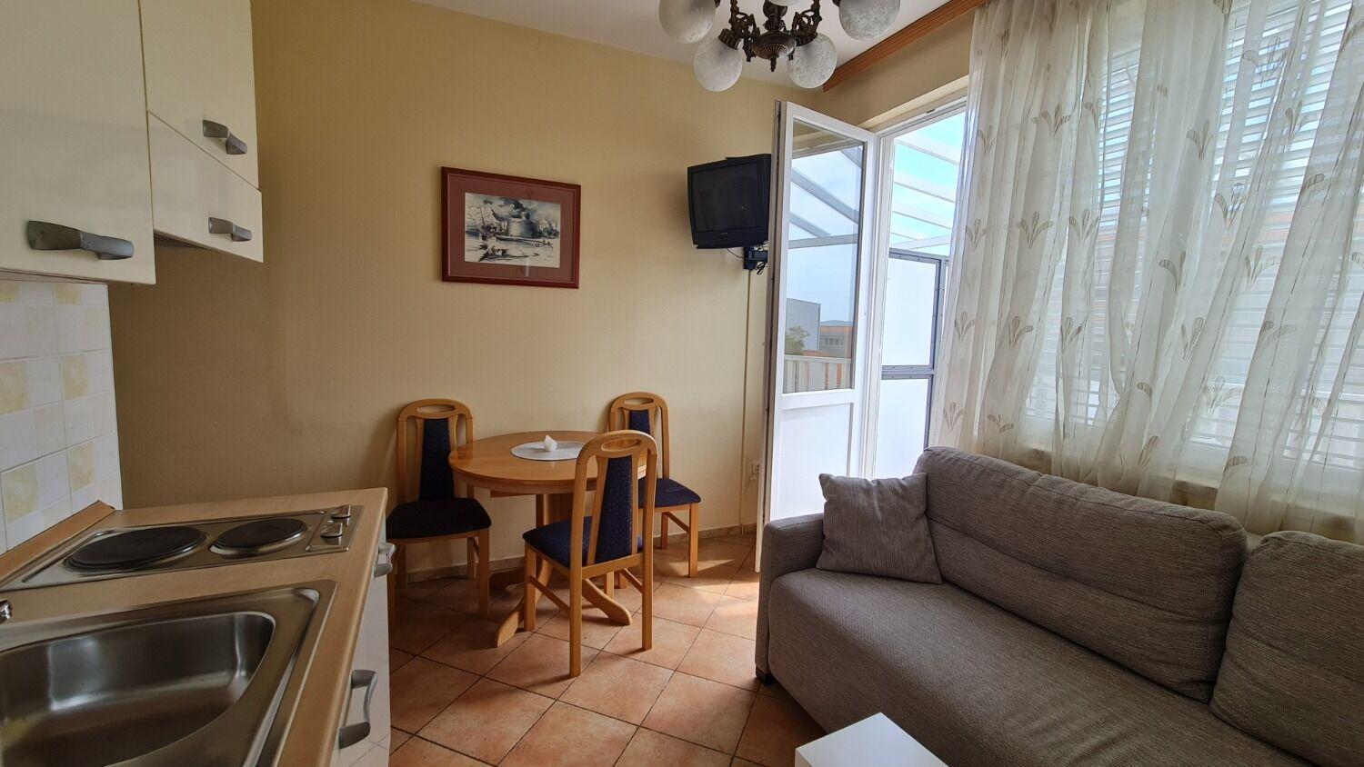Classic One-Bedroom Apartment photo 3