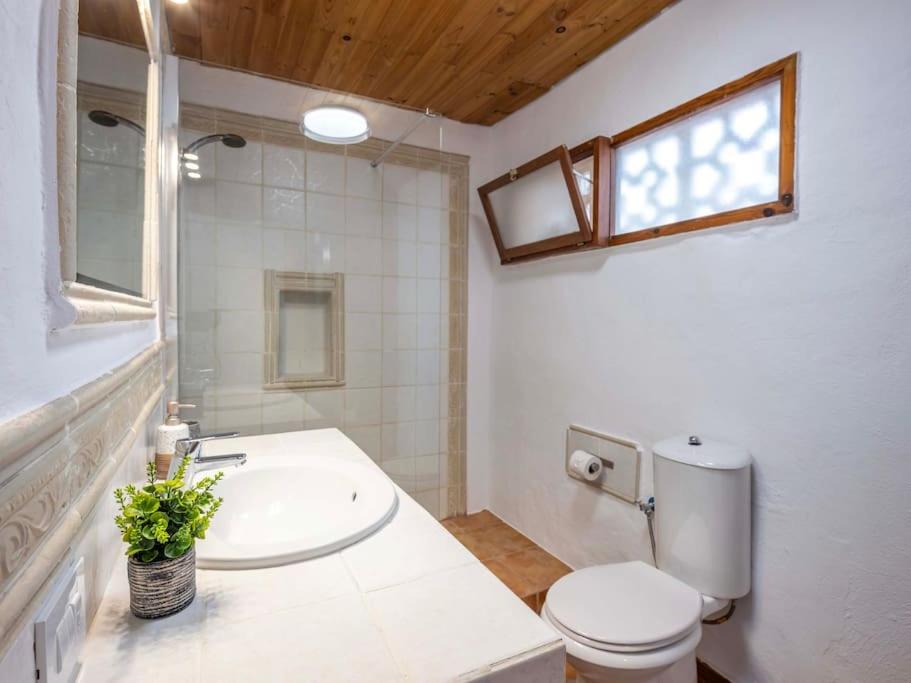 One-Bedroom Apartment with Sea View and Terrace photo 2