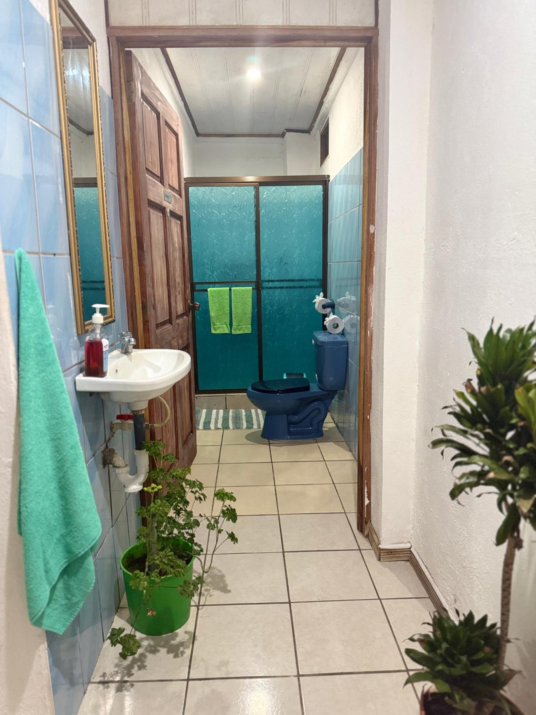 Apartment - Ground Floor photo 2