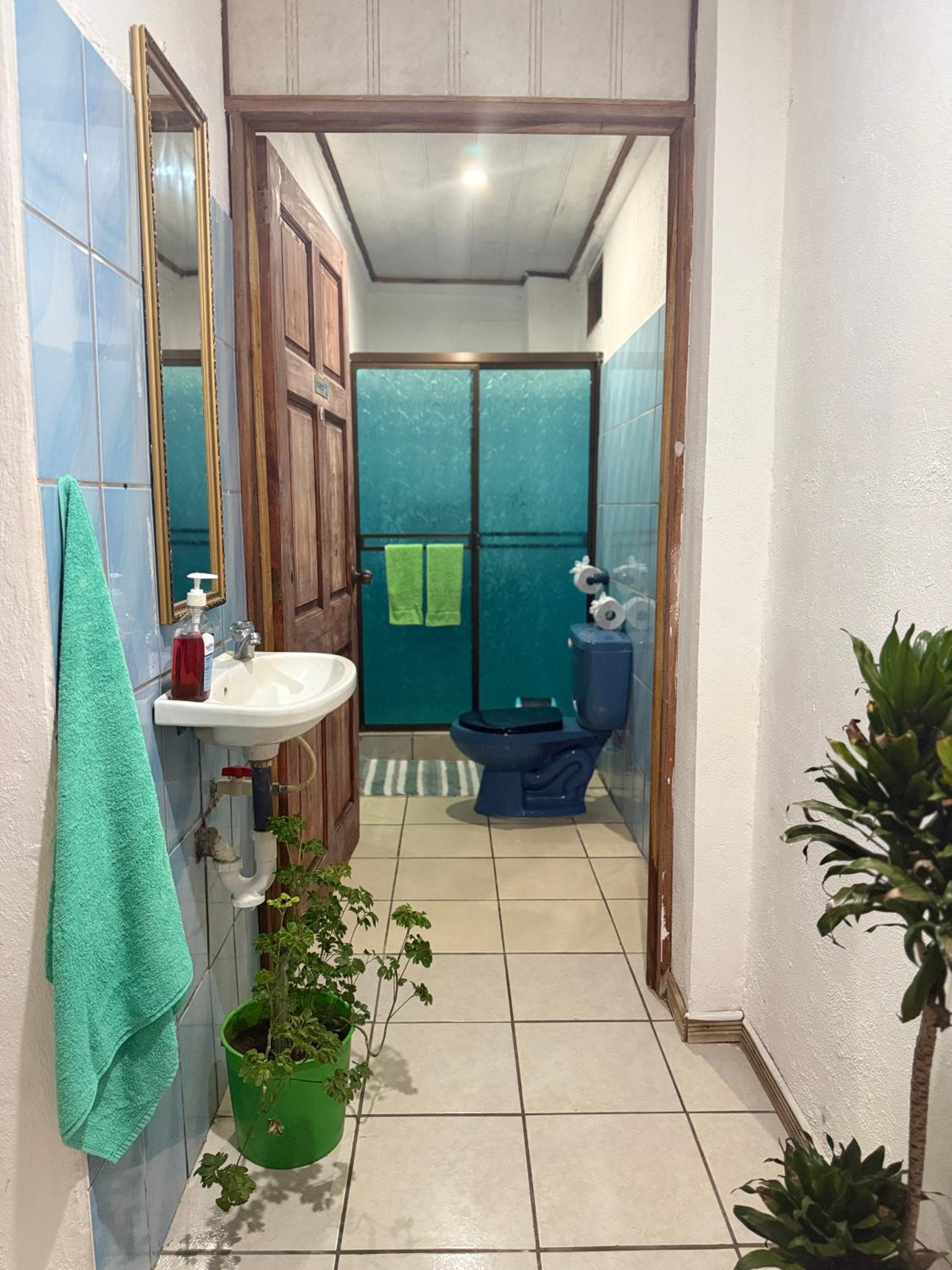 Apartment - Ground Floor photo 3