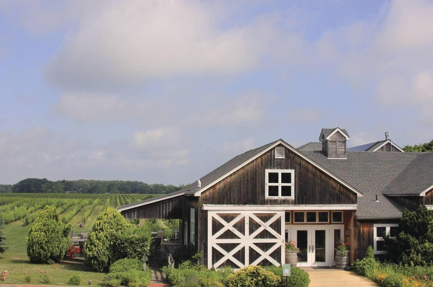 Vacation Home photo 3