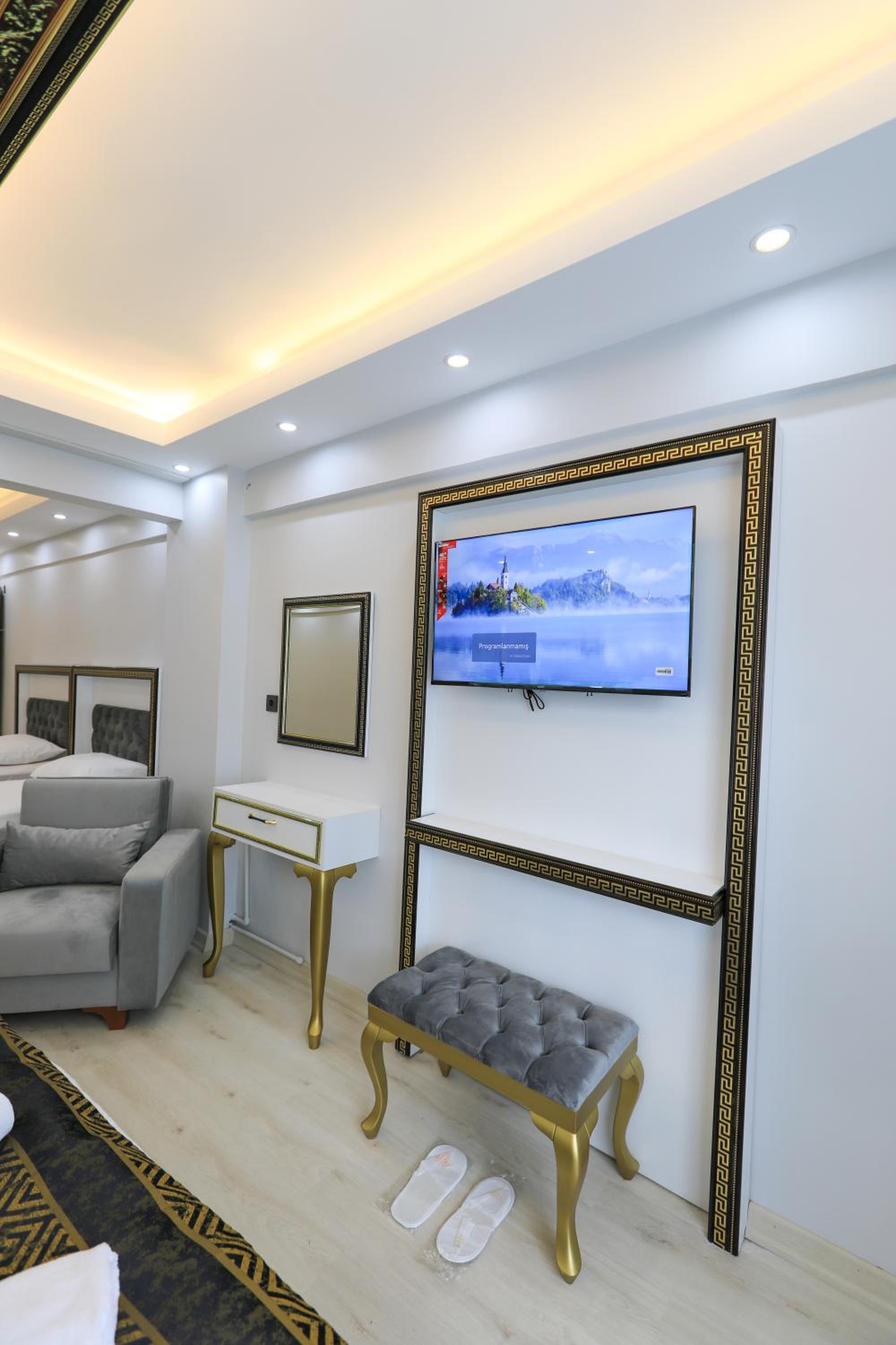 Standard Family Room photo 3