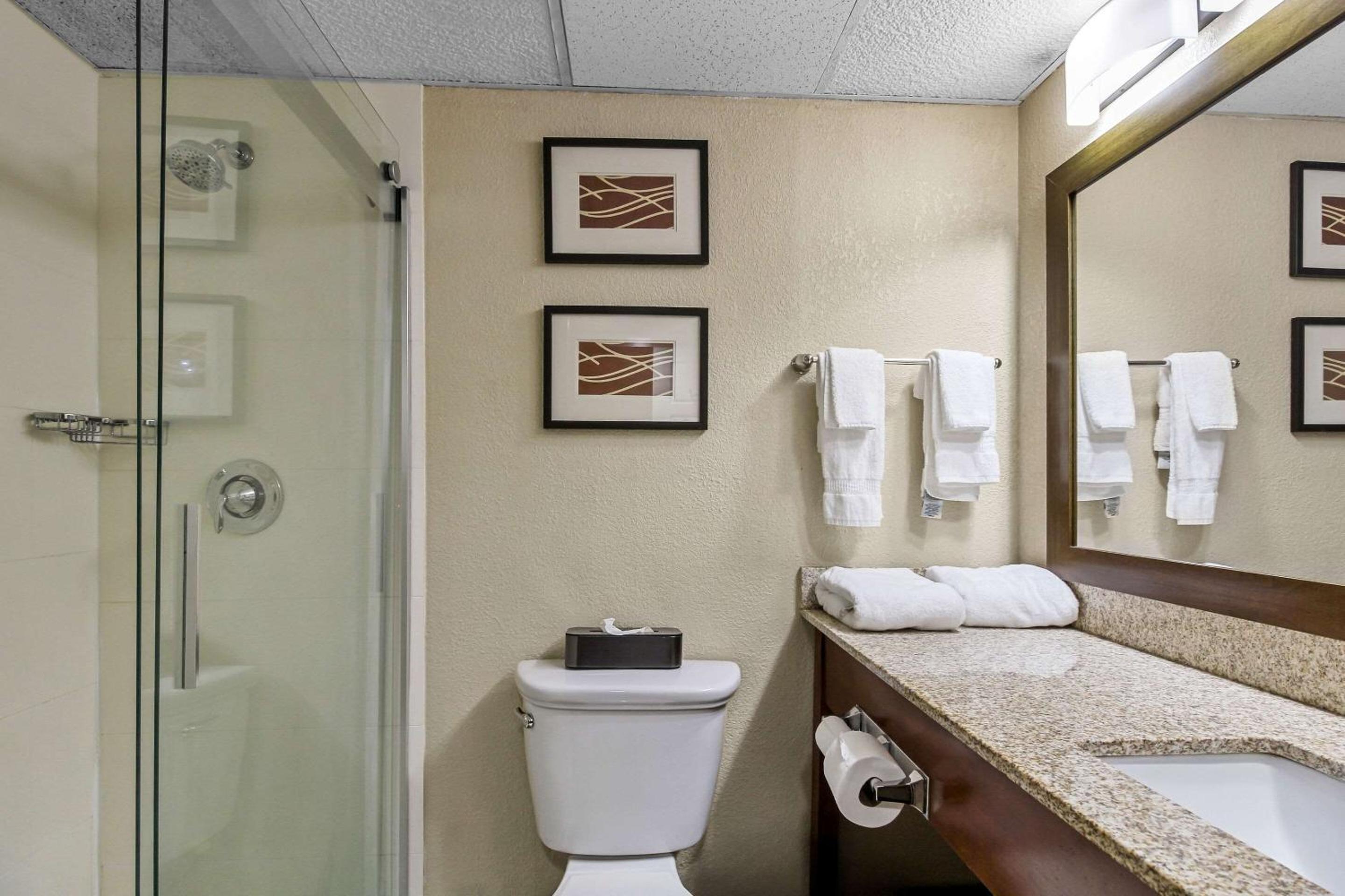 King Room - Non-Smoking photo 2