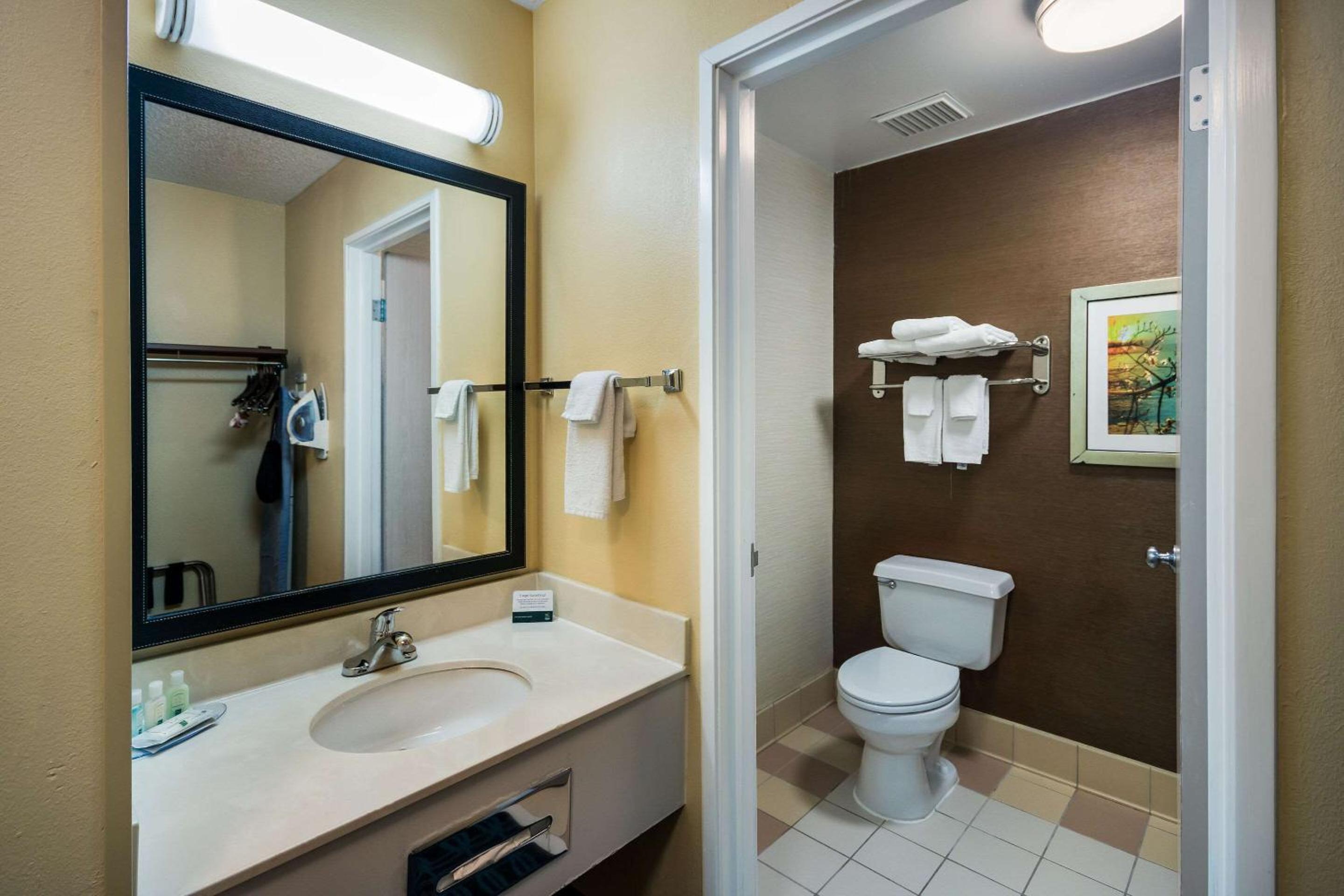 King Room - Non-Smoking - Photo 6
