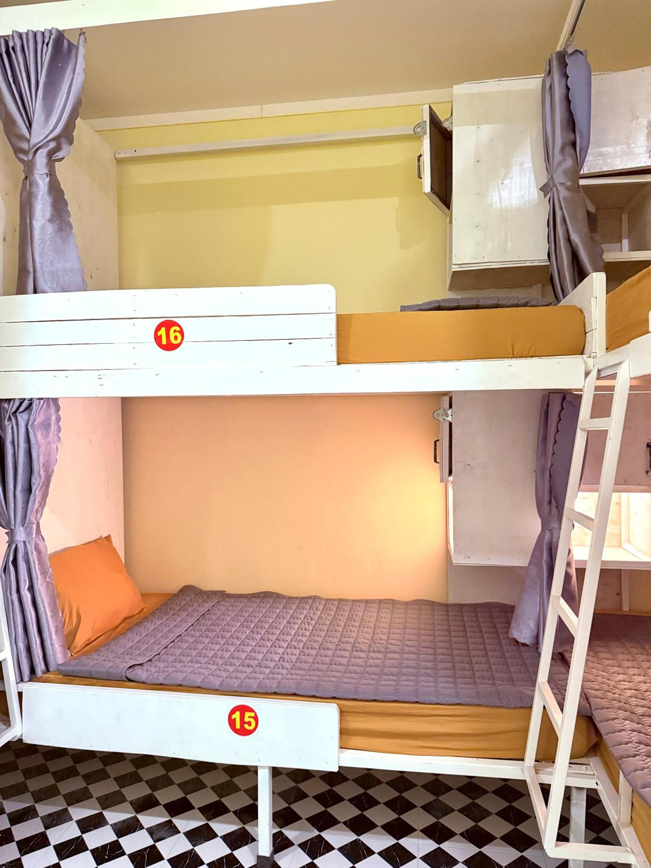 Bunk Bed In Mixed Dormitory Room photo 1