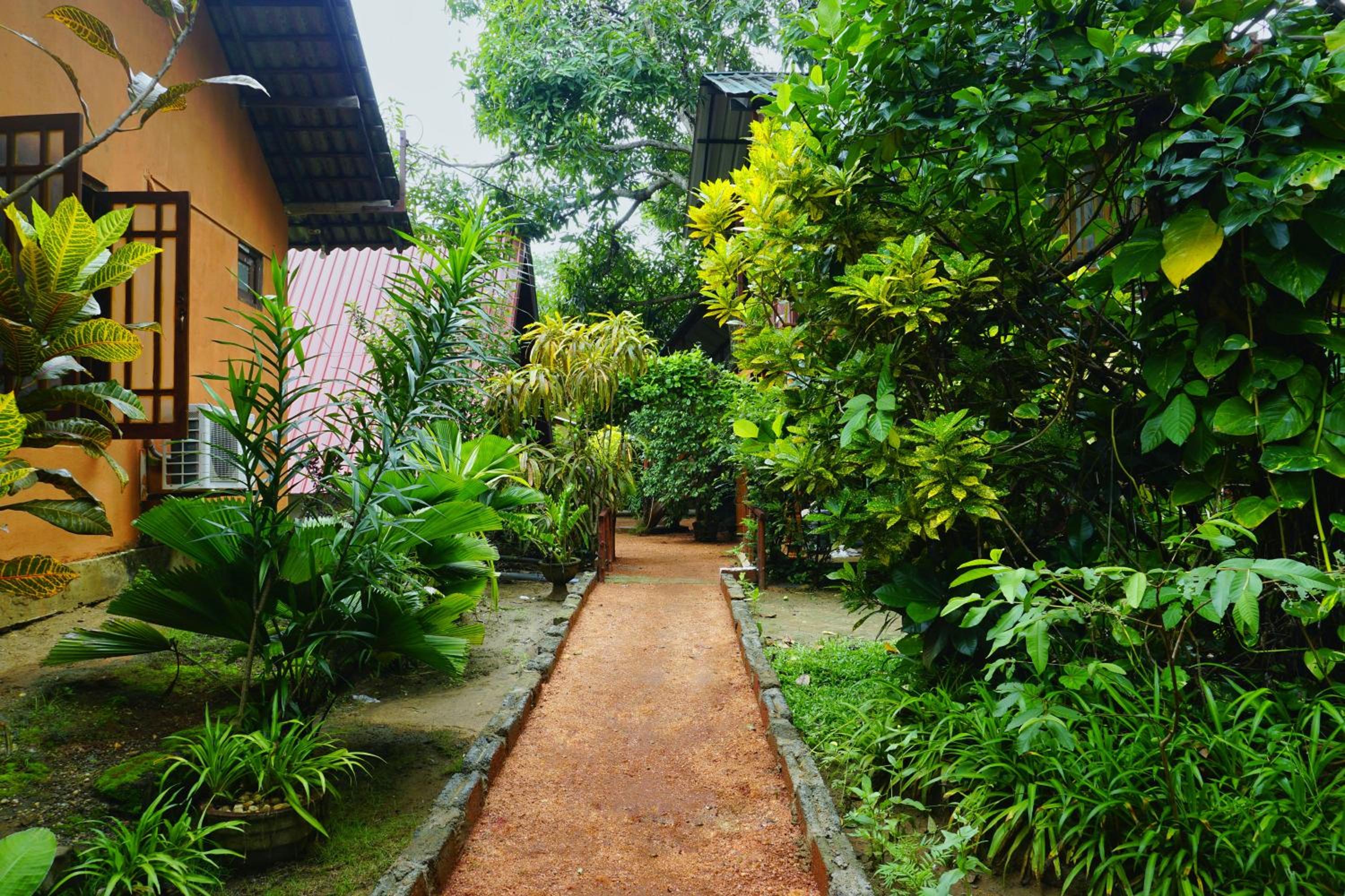 One-Bedroom Villa photo 3