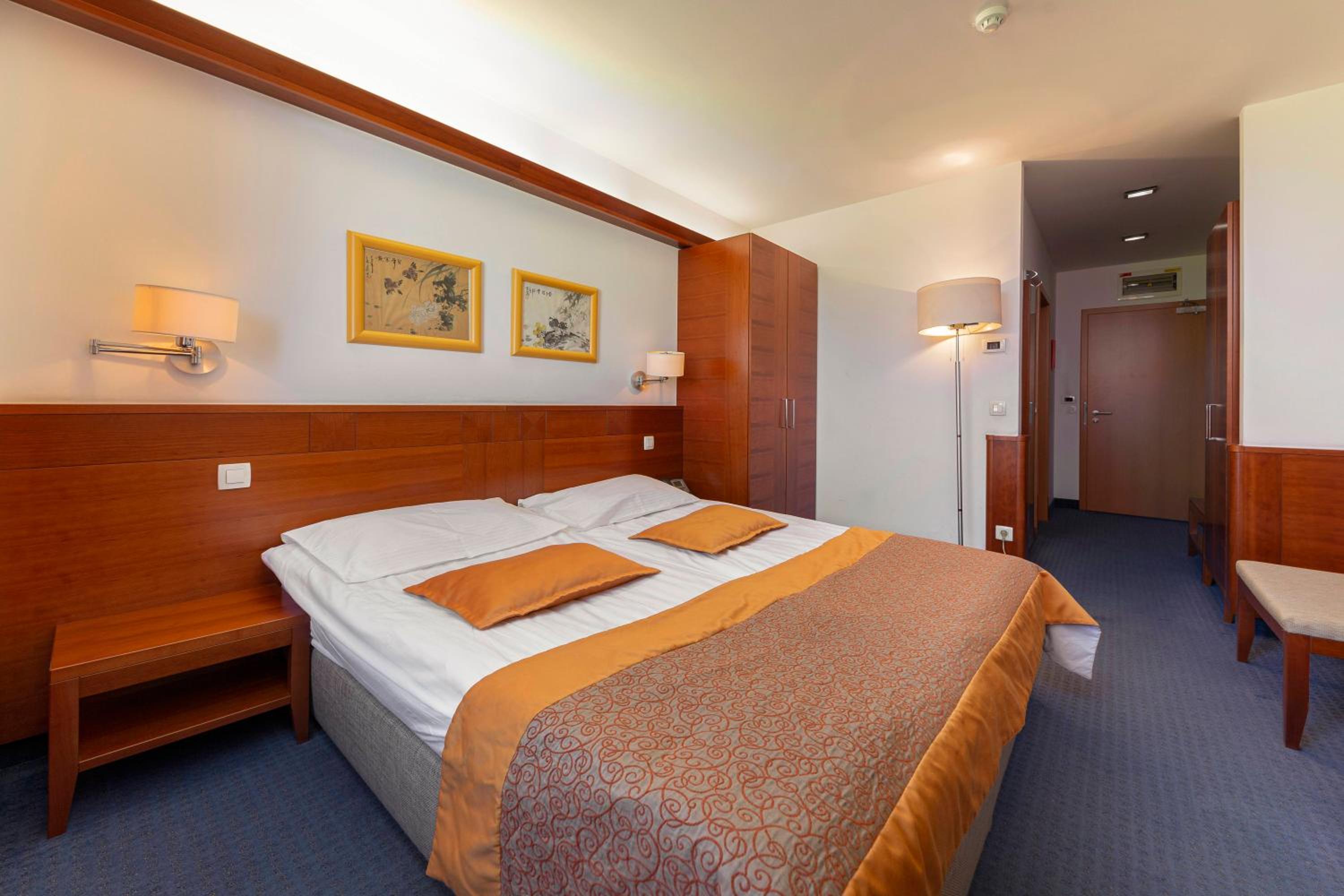 Double or Twin Room with Mountain View - Photo 11