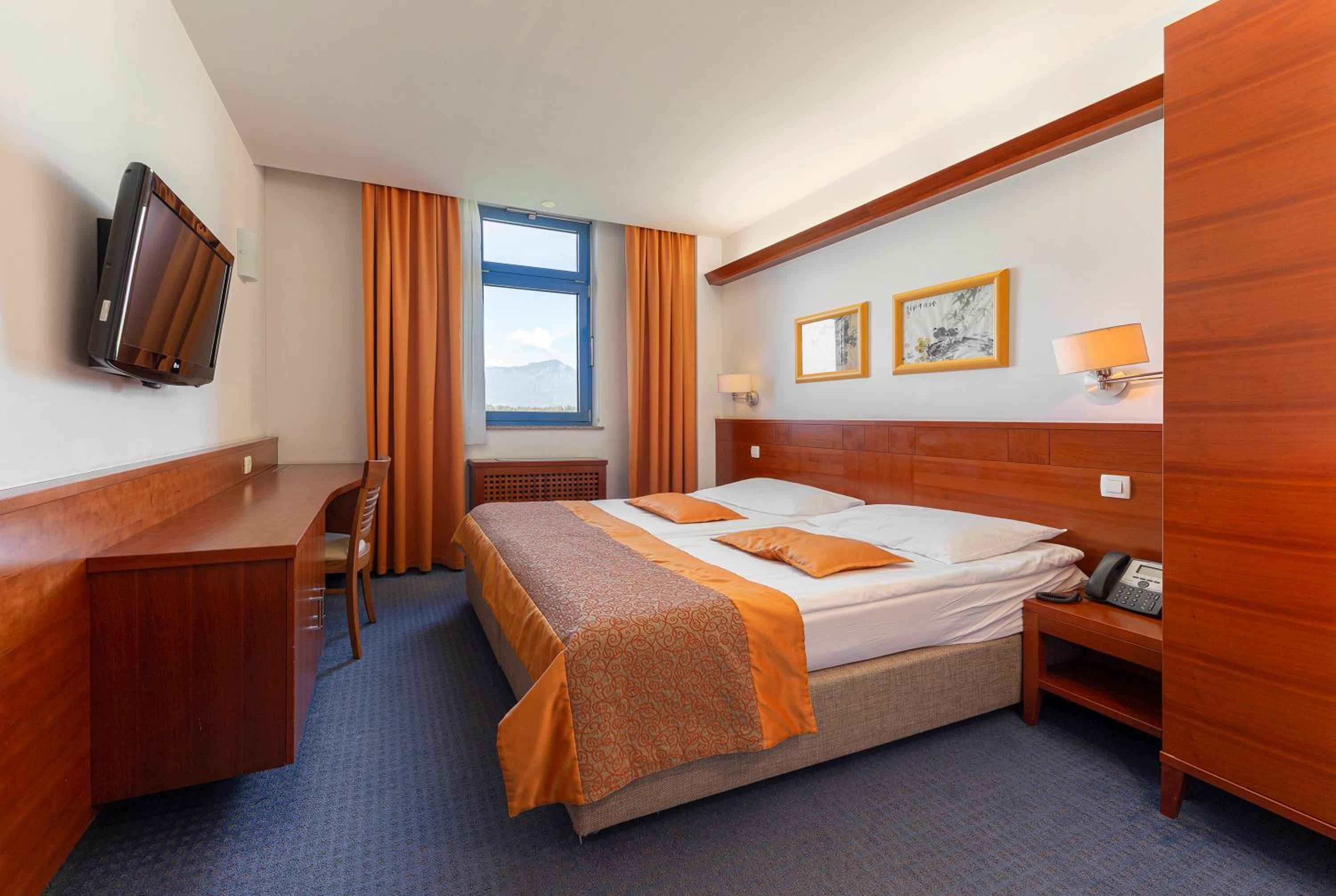 Double or Twin Room with Mountain View - Photo 1