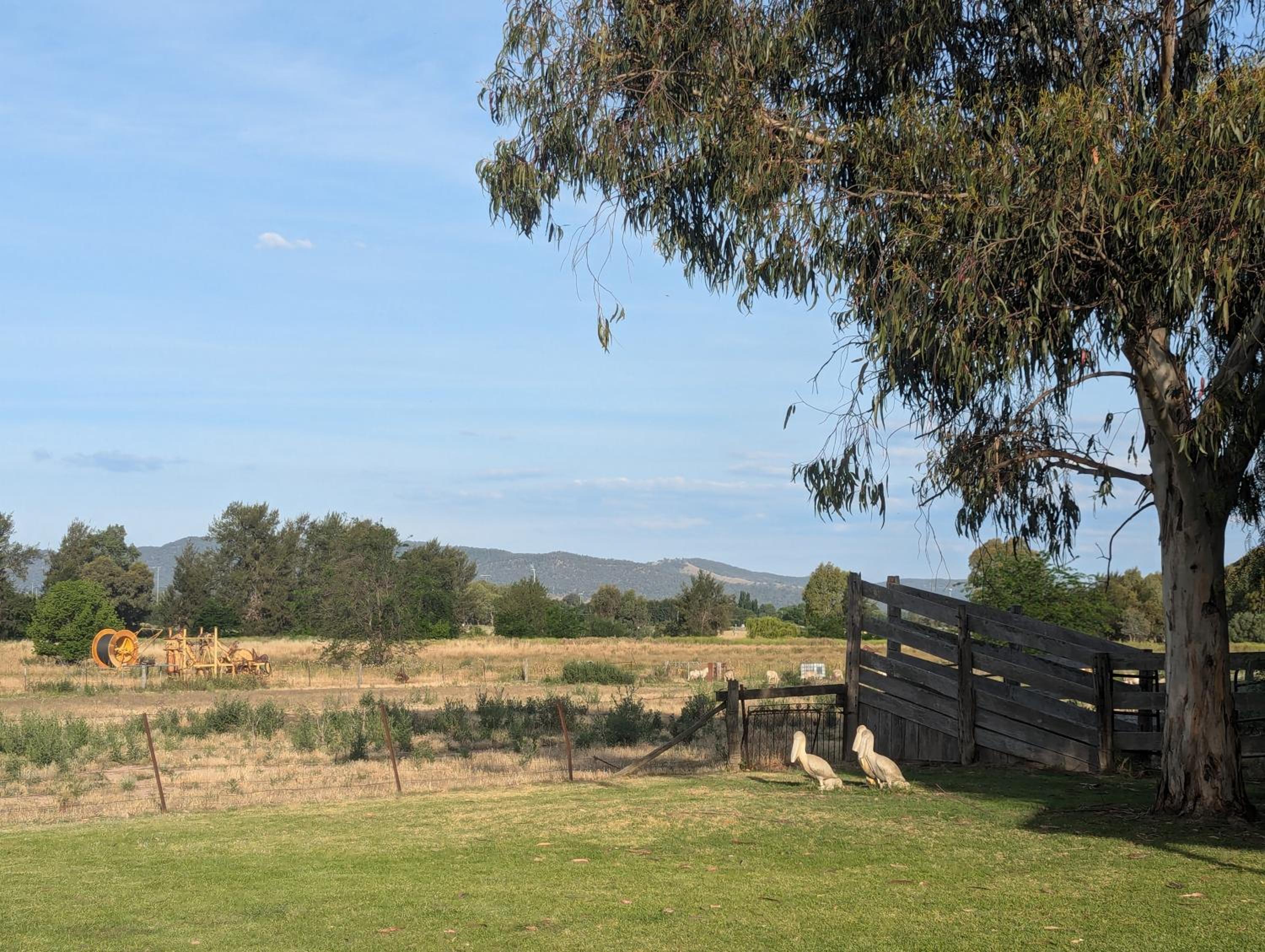 Deluxe Twin Room - Dog Friendly photo 3
