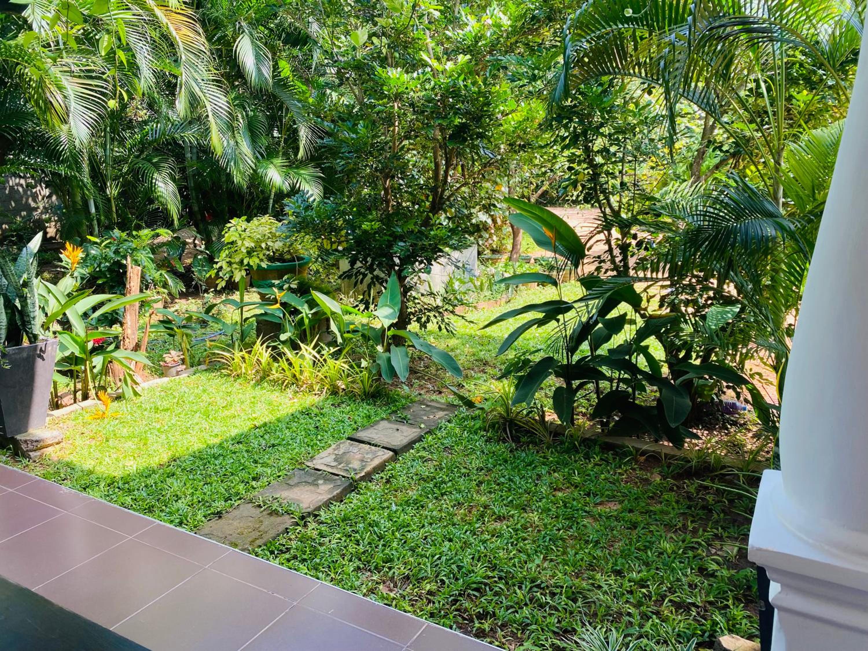 Double Room with Garden View photo 2