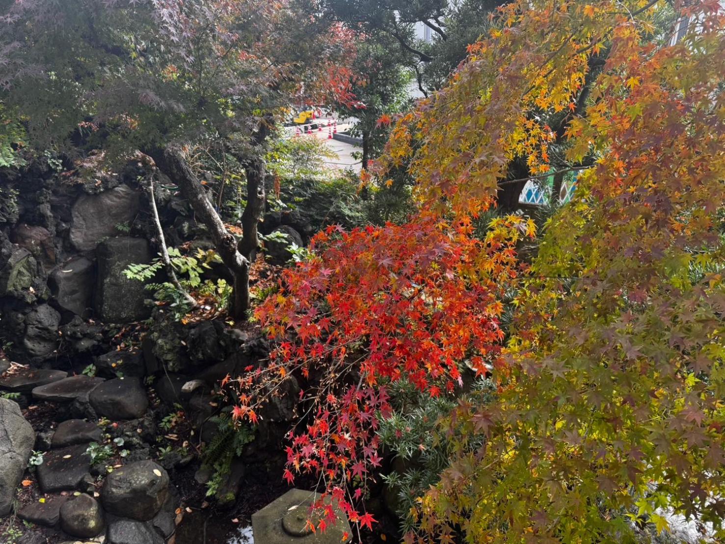 Twin Room with Garden View - Photo 2
