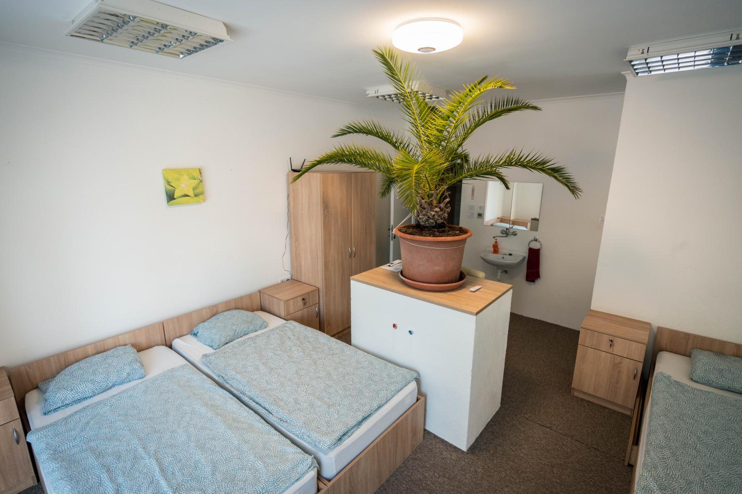 Triple Room photo 2