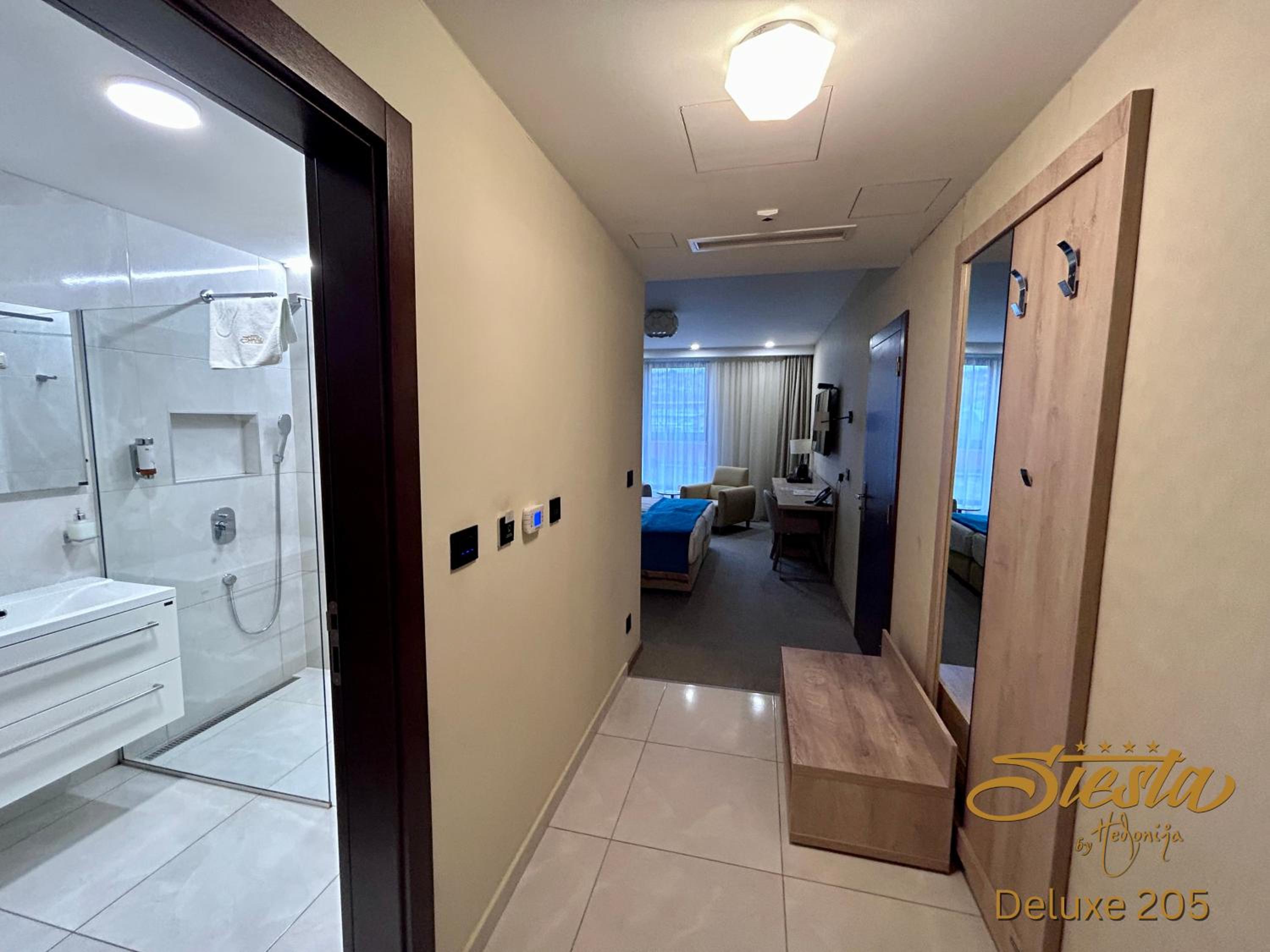 Deluxe Double or Twin Room photo 2