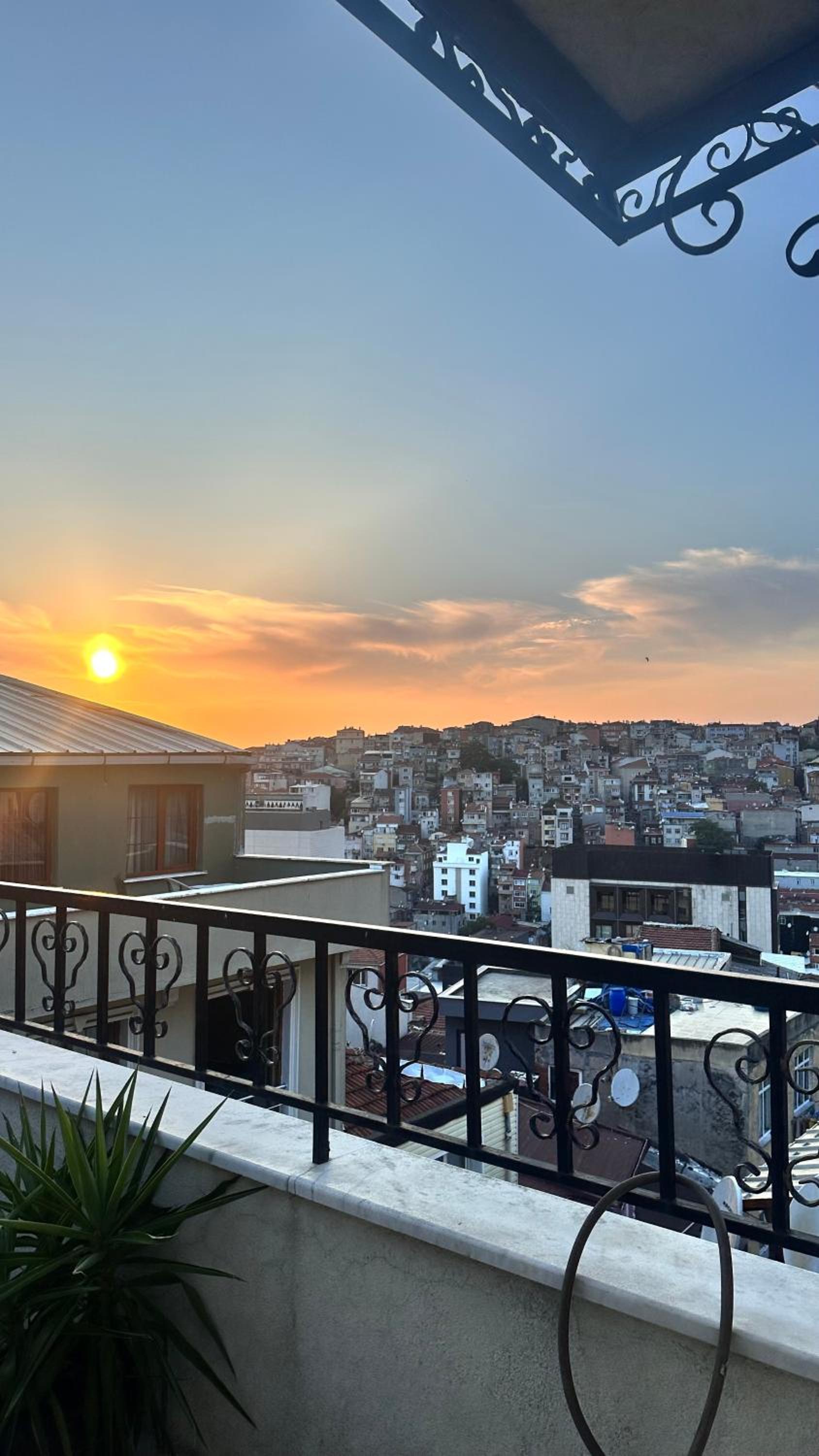 Apartment with Terrace photo 3