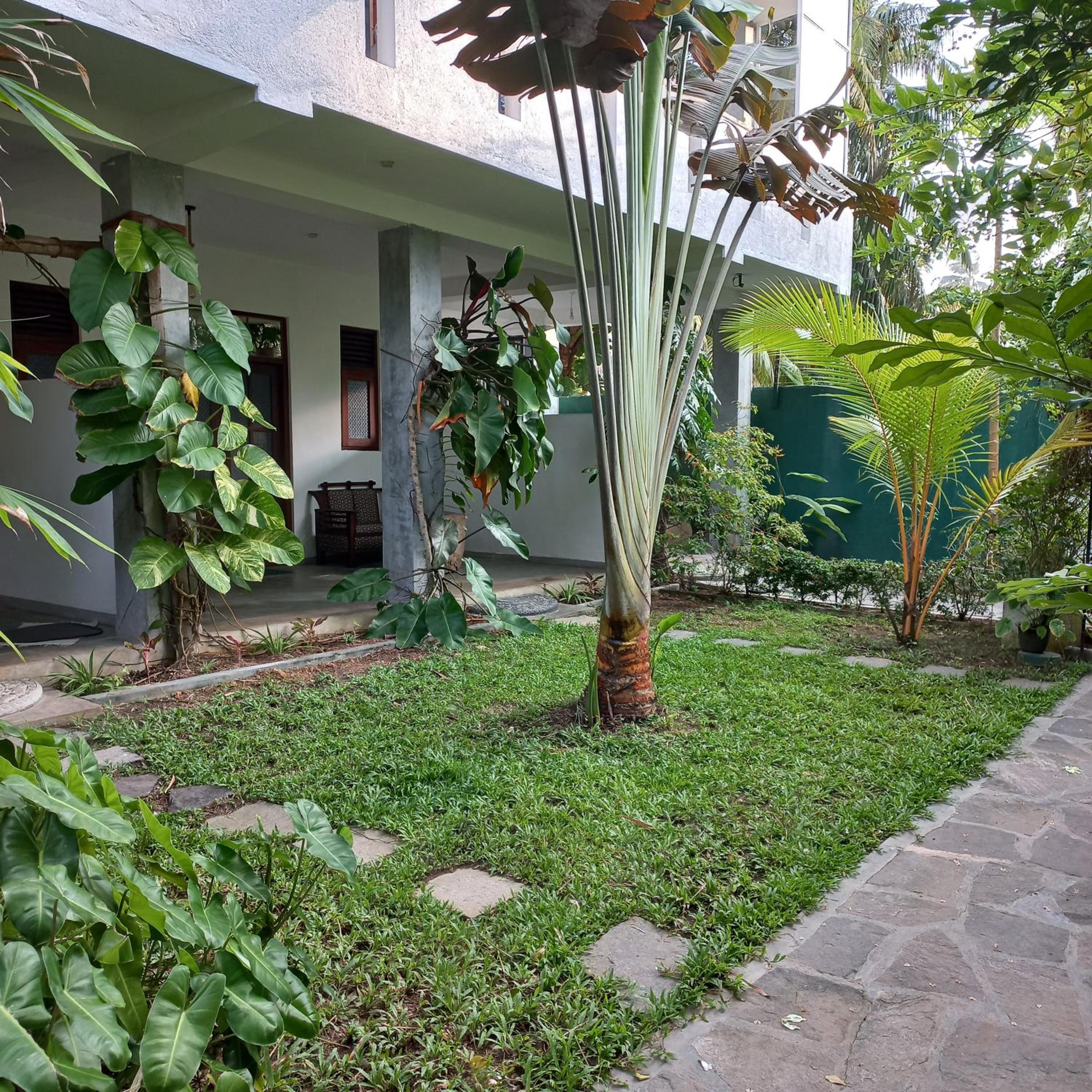 Triple Room With Terrace photo 1