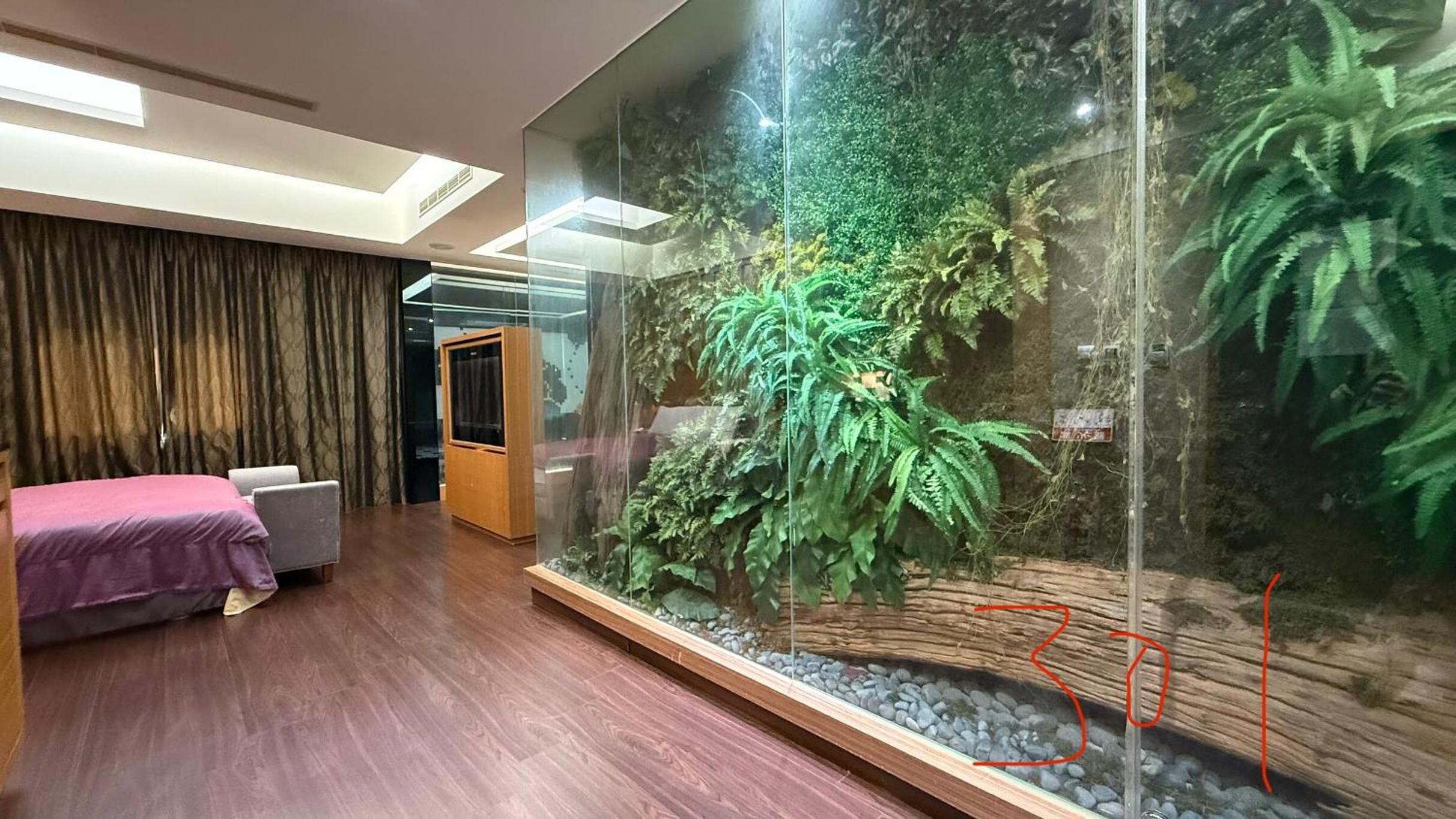 Double Room with Mountain View photo 1