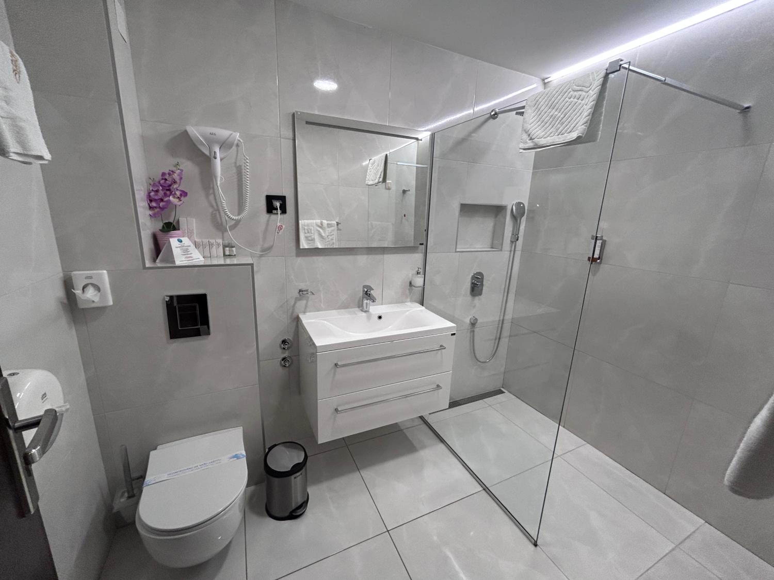 Deluxe Double or Twin Room - Photo 7