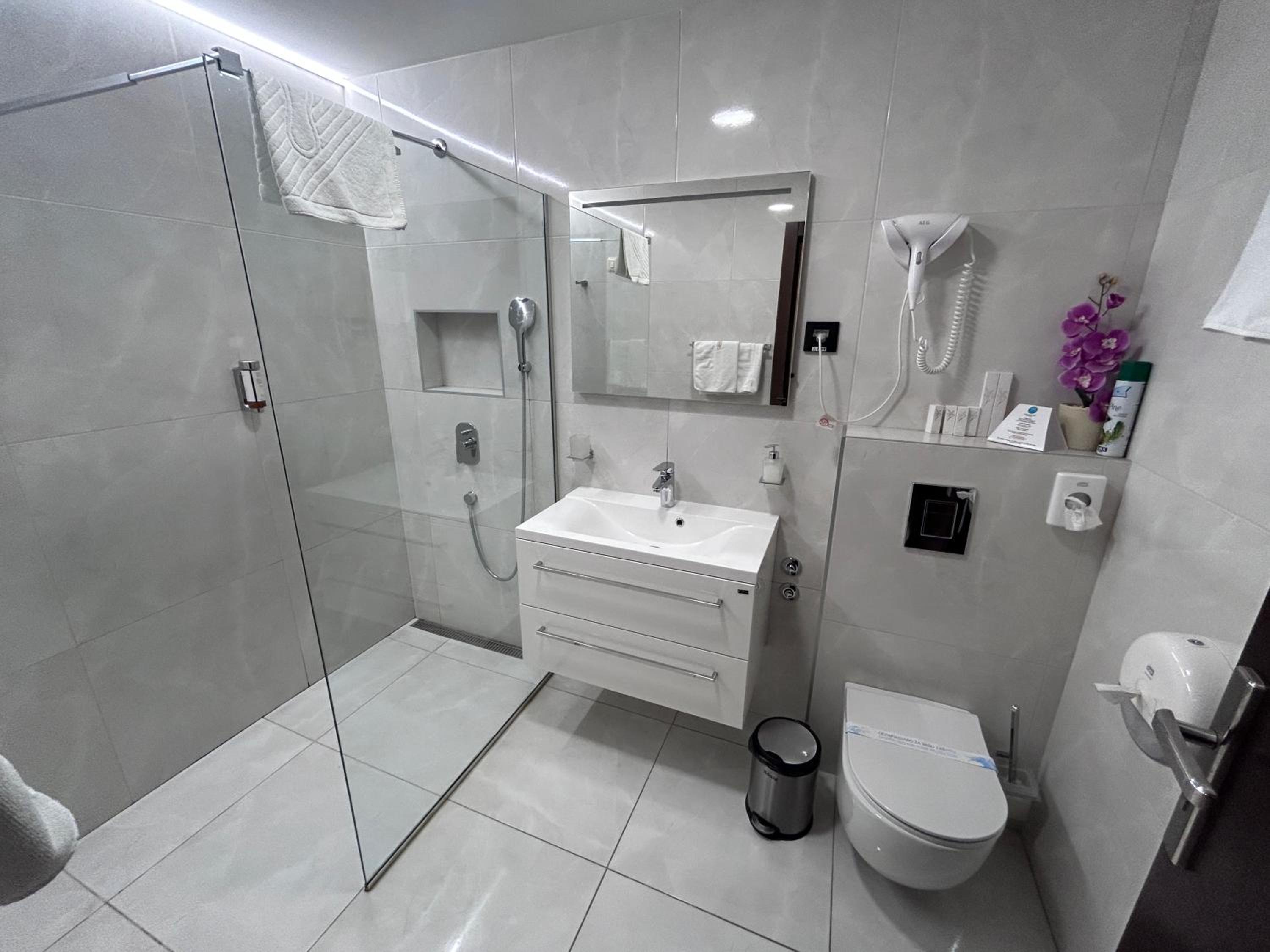 Deluxe Double or Twin Room - Photo 7