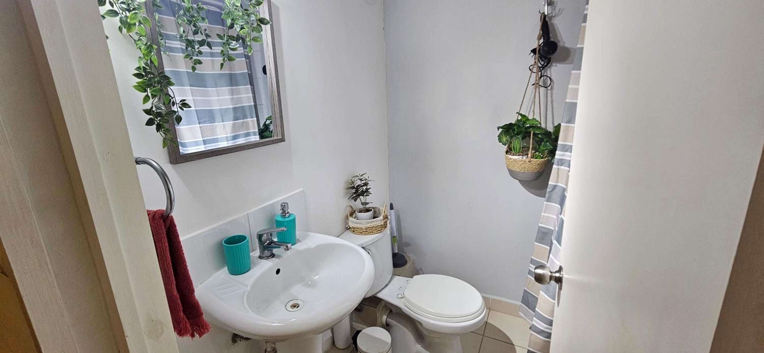 Apartment With Terrace photo 2
