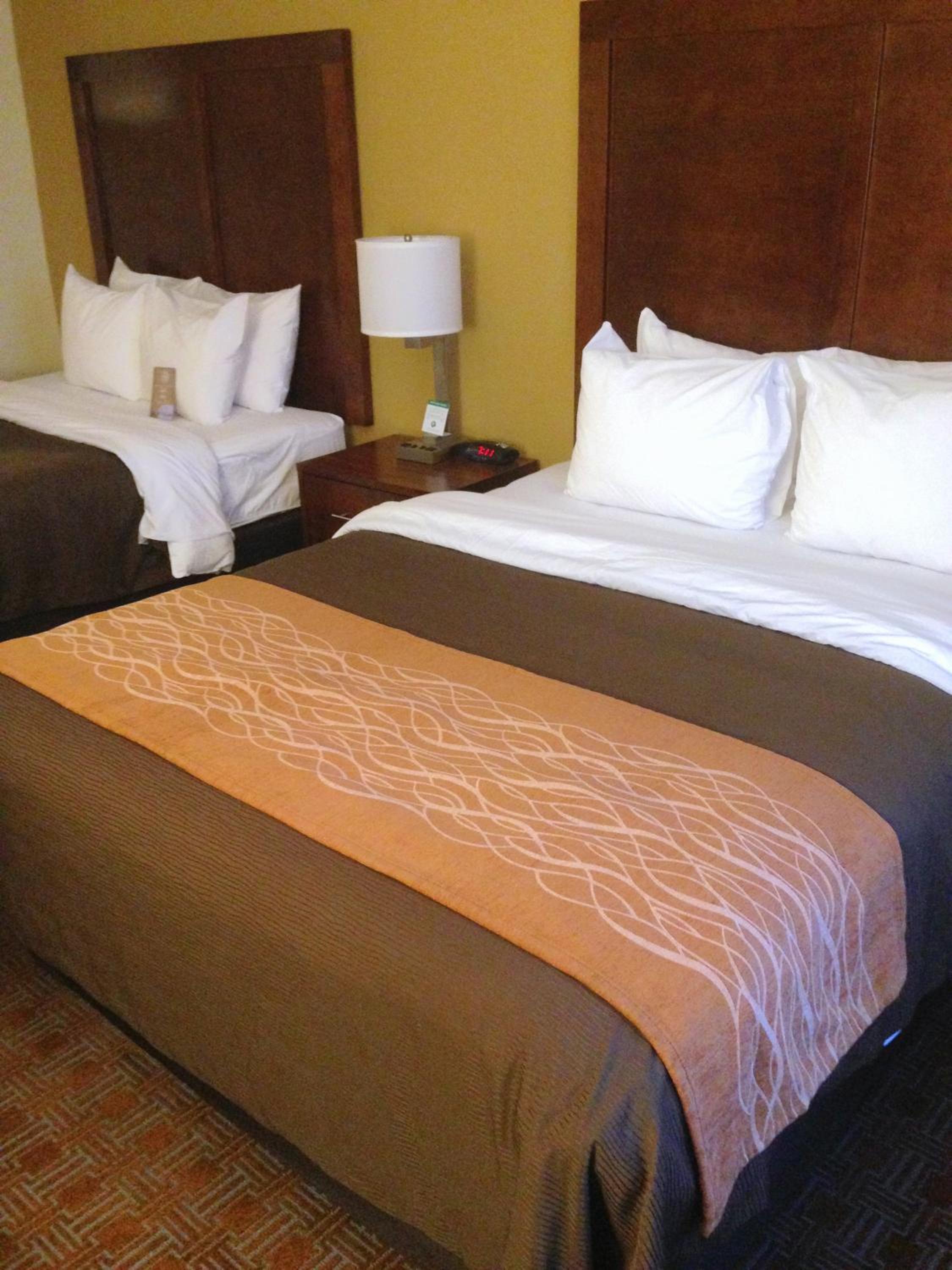 Standard Queen Room with Two Queen Beds photo 2