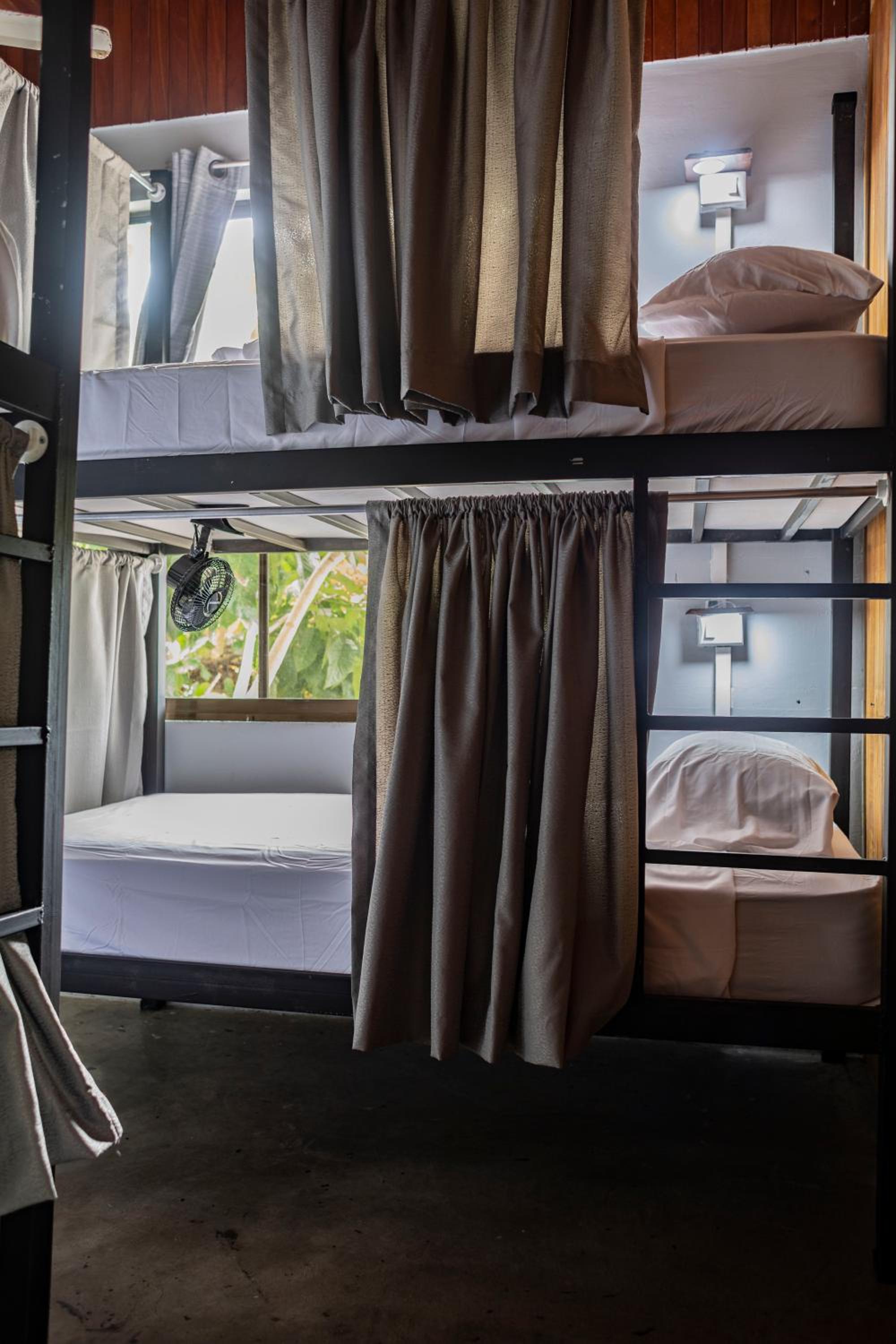 Single Bed in 4-Bed Dormitory Room photo 3