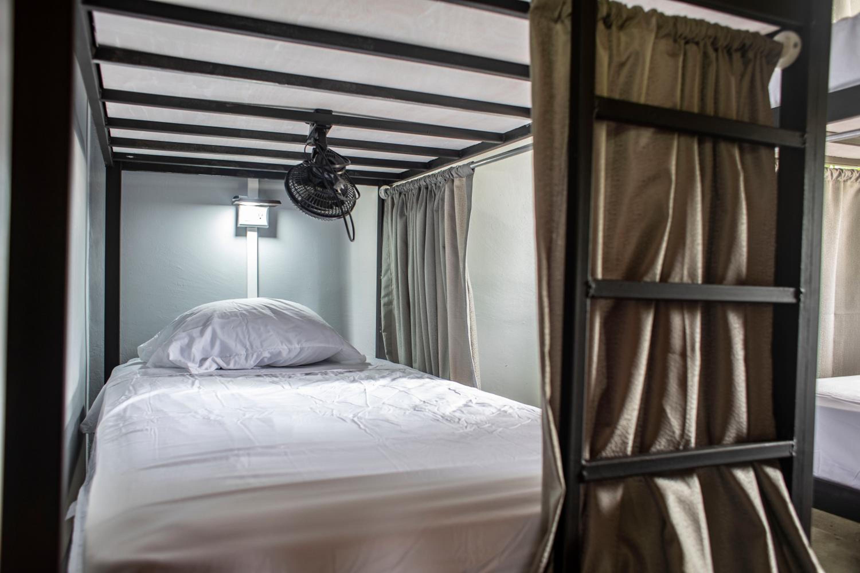 Single Bed in 4-Bed Dormitory Room photo 2