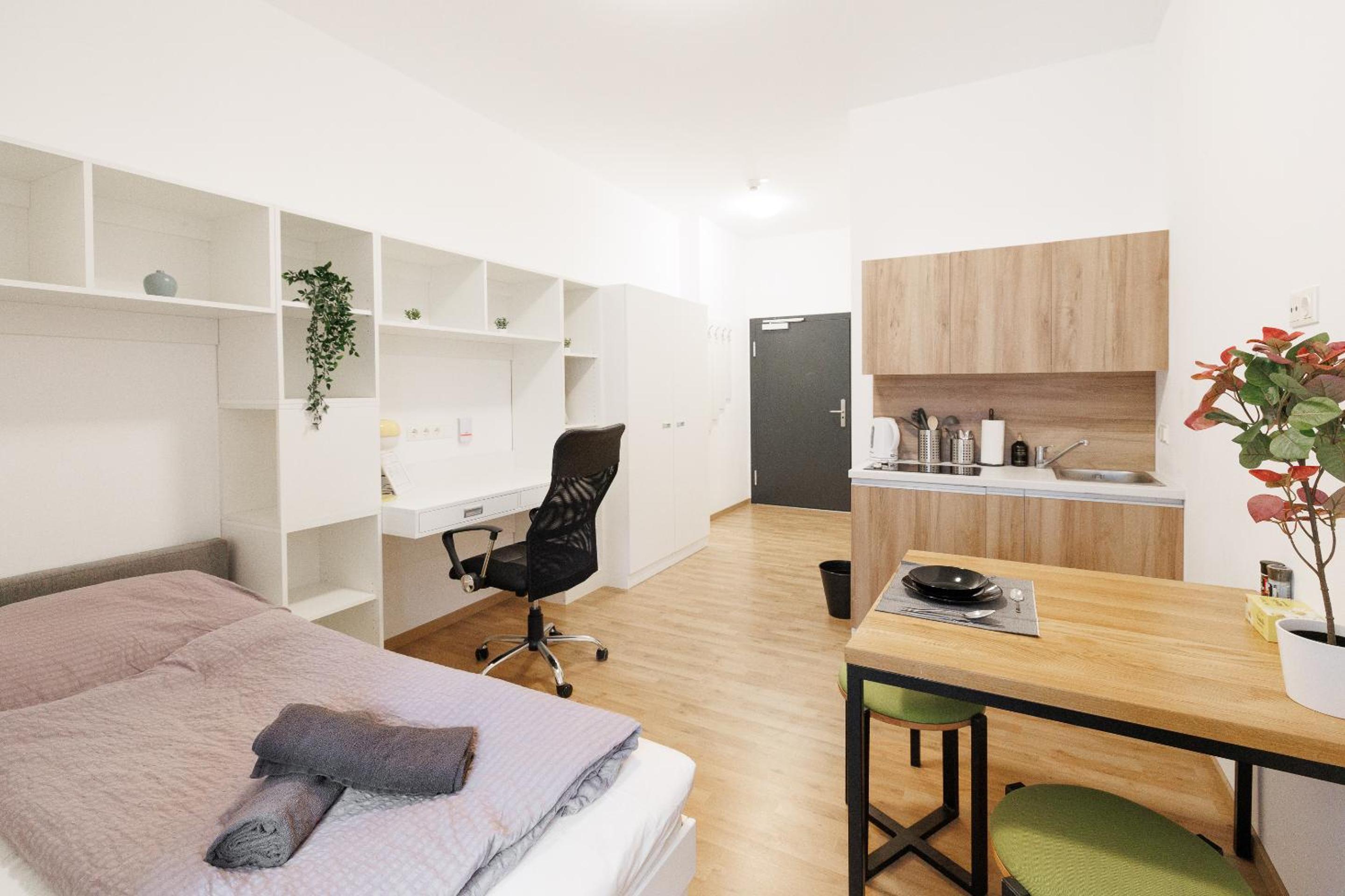 Single Room photo 1