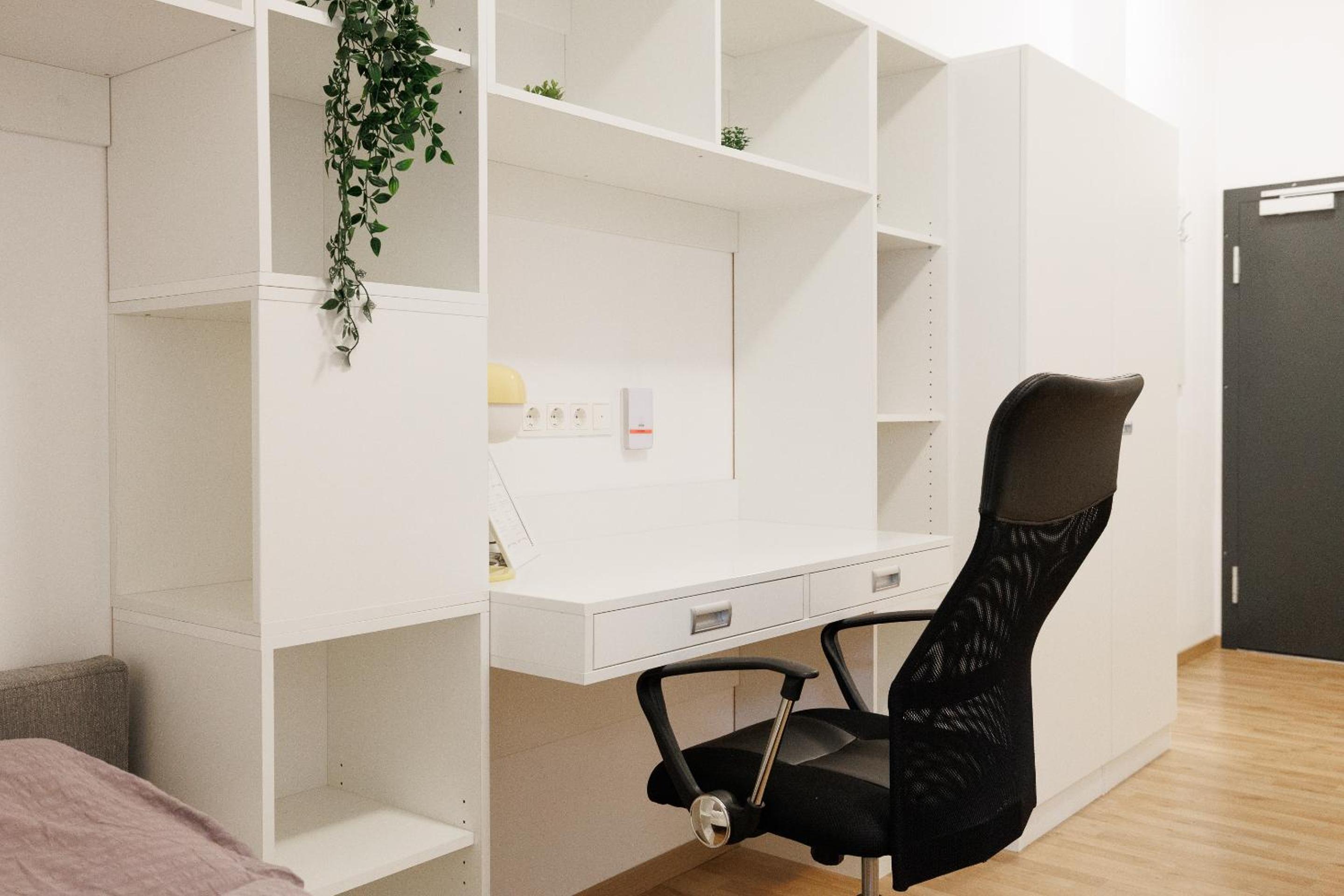 Single Room photo 3