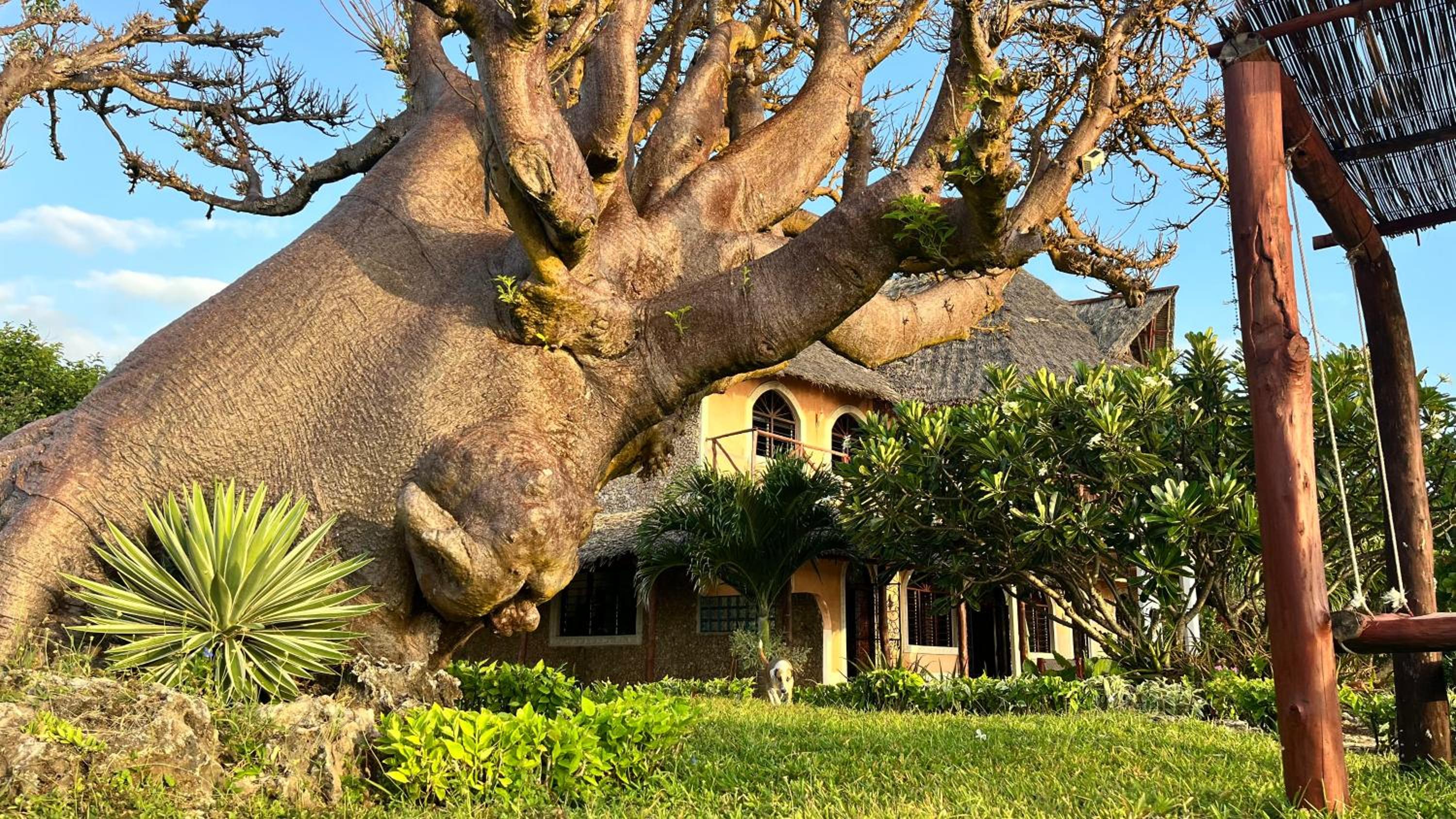 Villa - Photo 22
