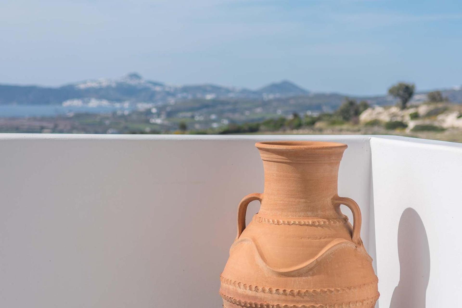 Studio with Terrace photo 2
