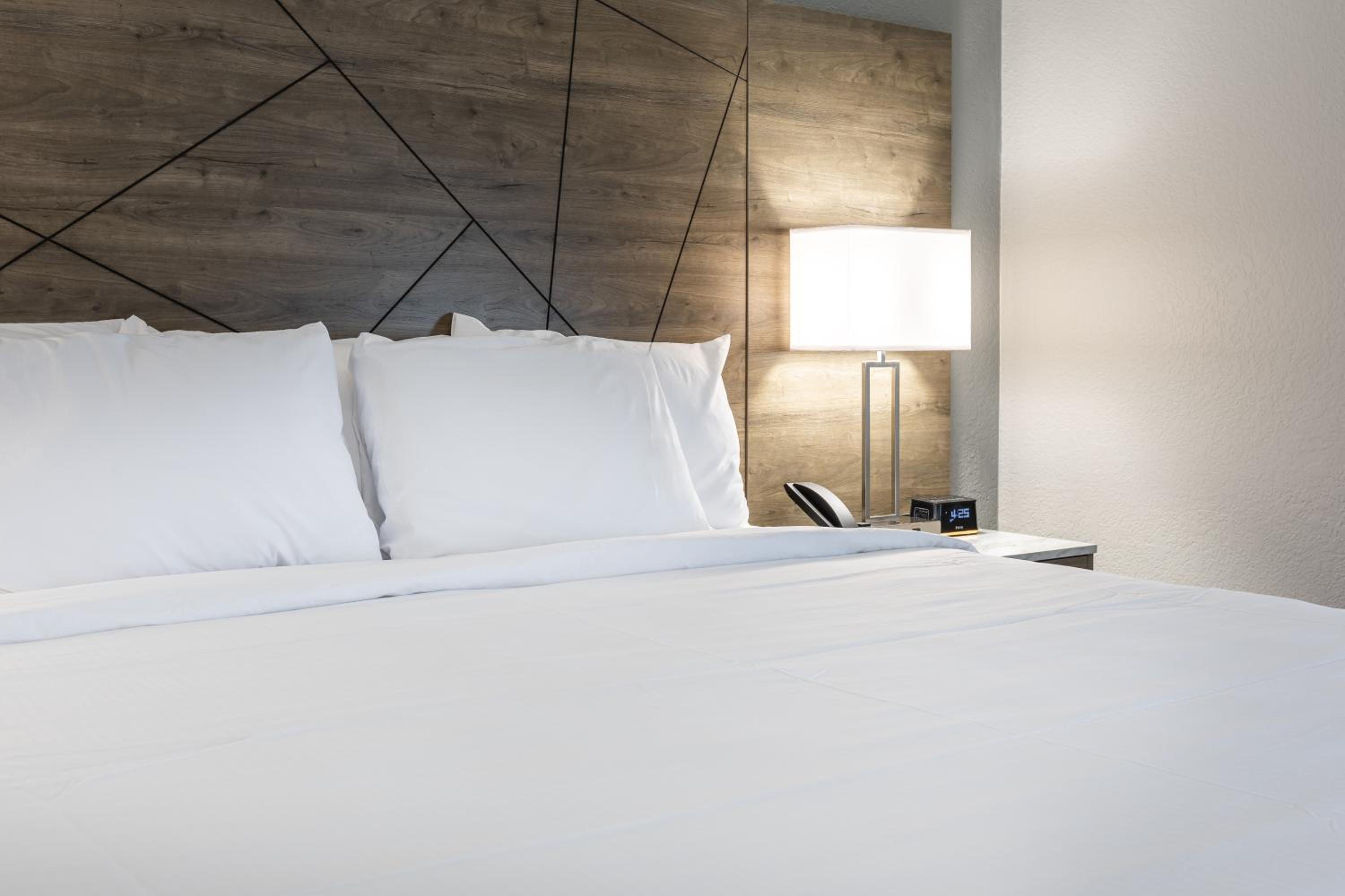 King Suite - Photo 1