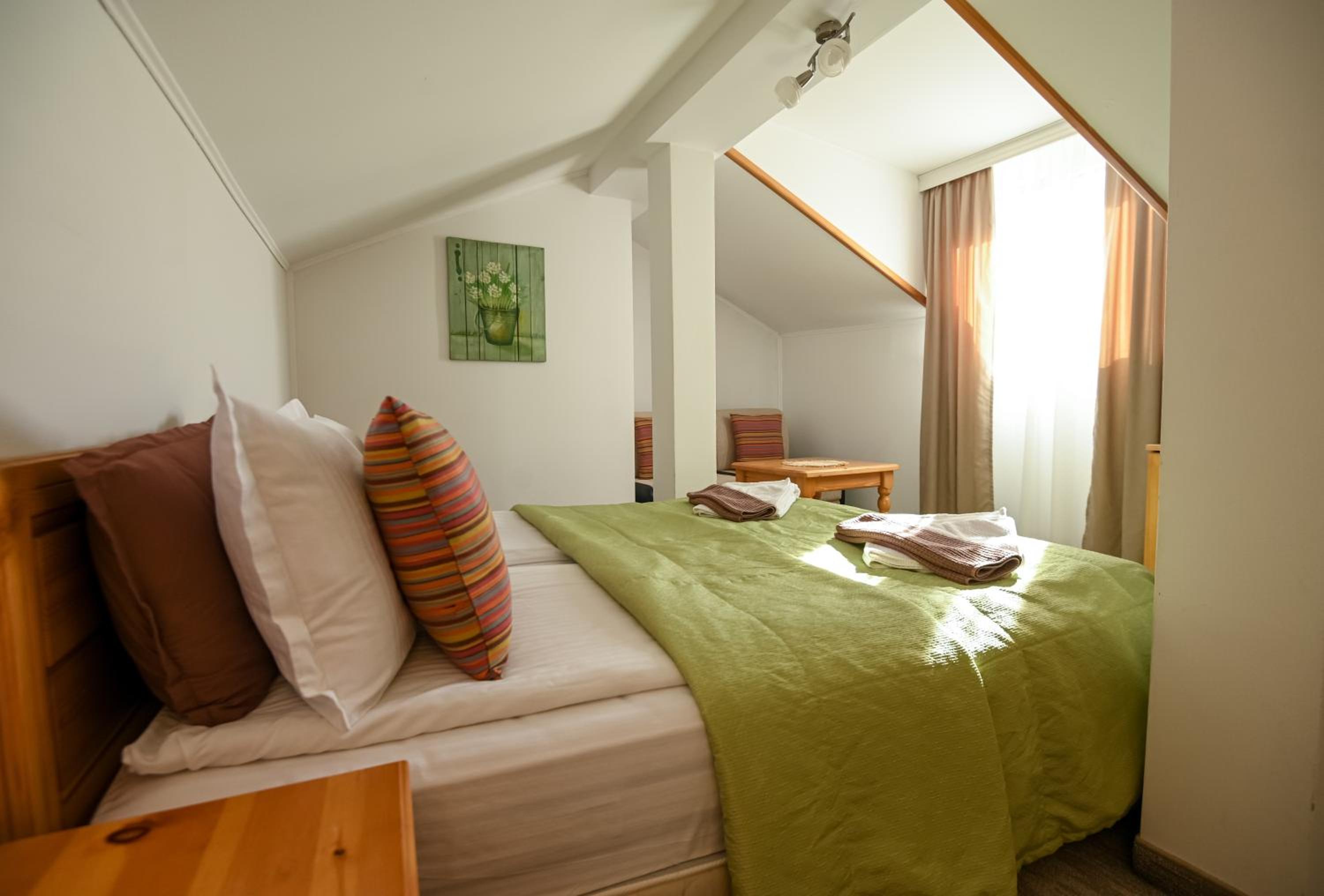 Double or Twin Room with Mountain View photo 1