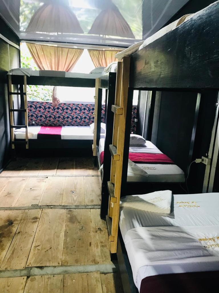 Bed in 6-Bed Mixed Dormitory Room photo 1