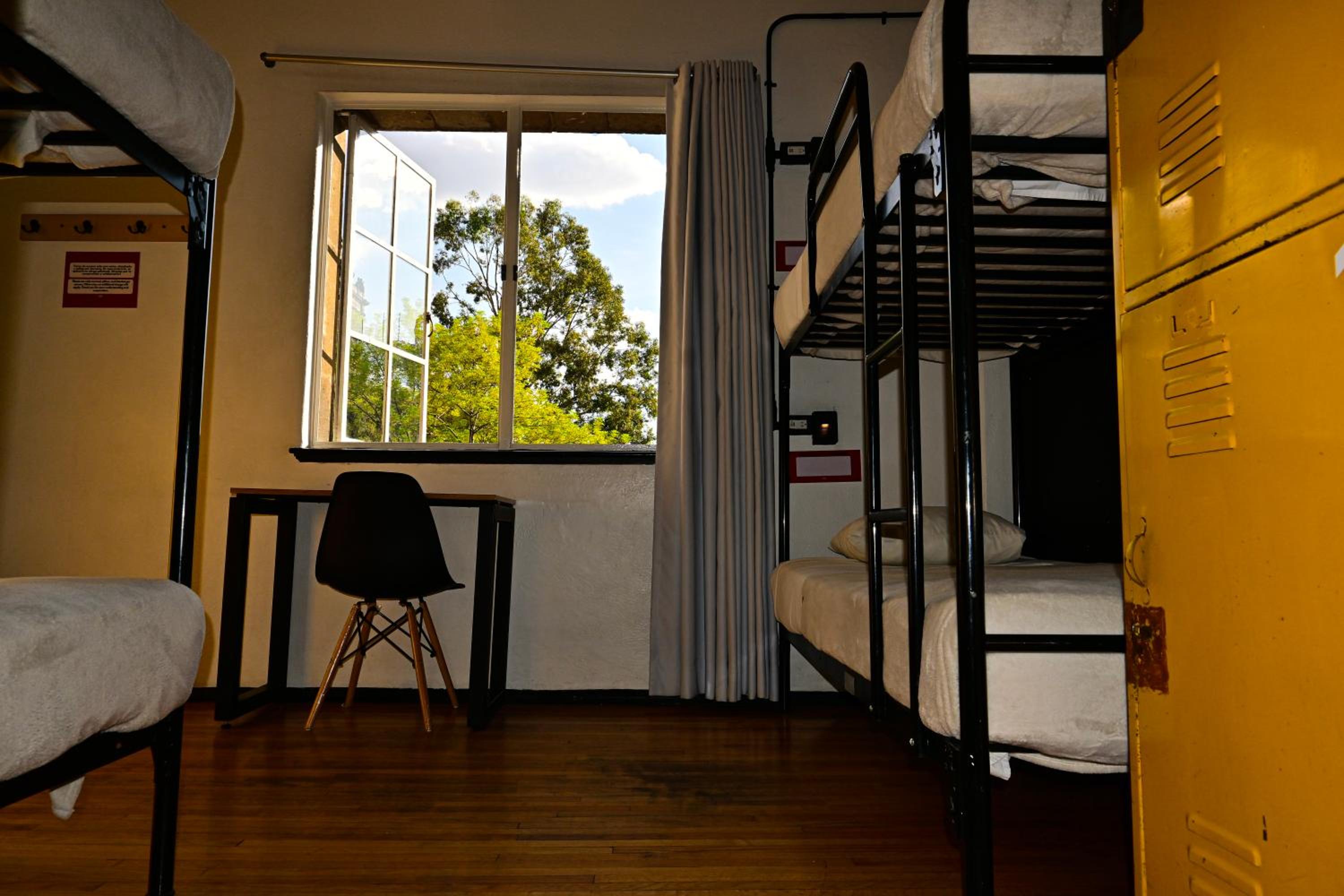 Bed in 6-Bed Mixed Dormitory Room Interior Shared Bathroom - Zocalo View photo 3