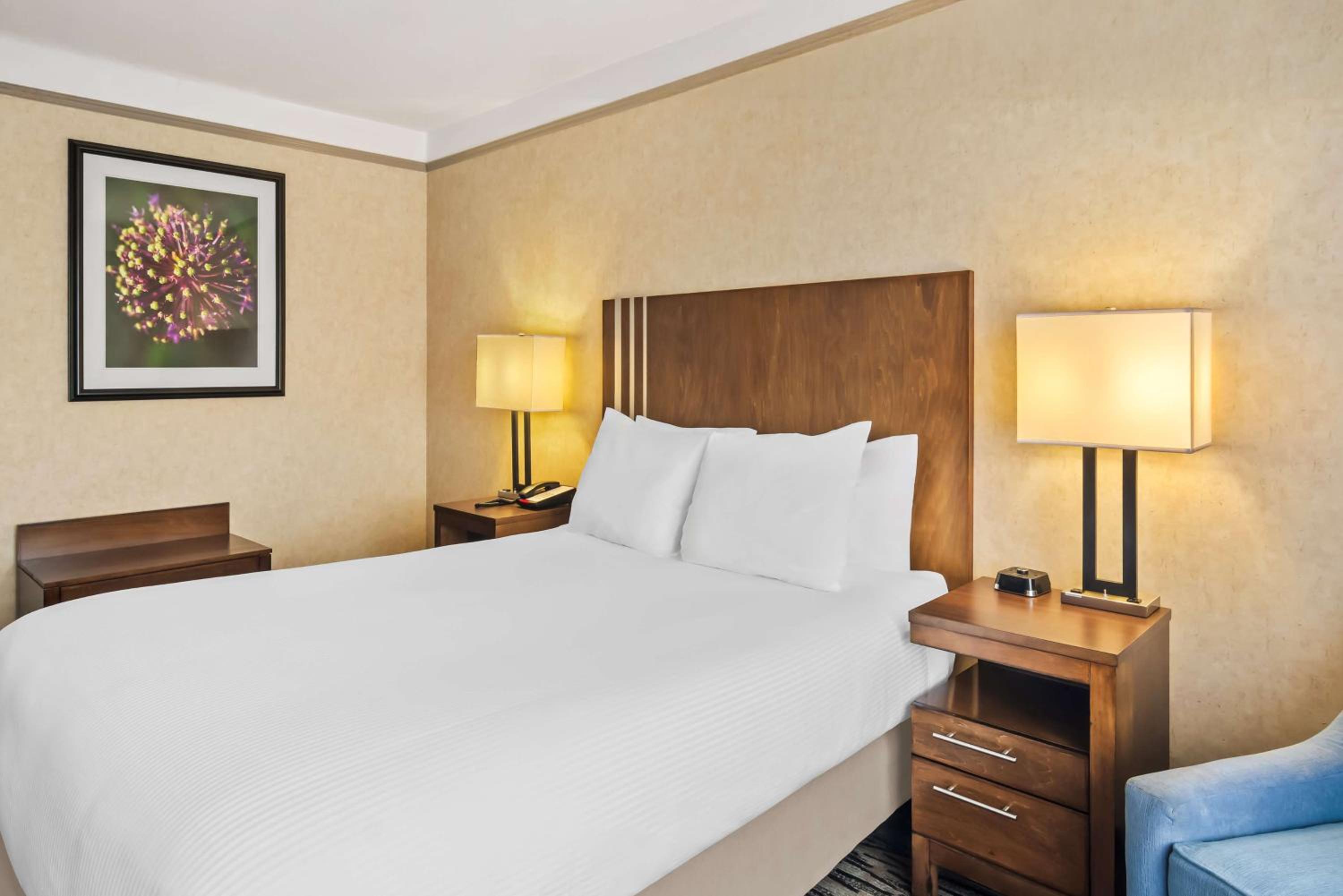 Queen Room - Mobility Access - Photo 2