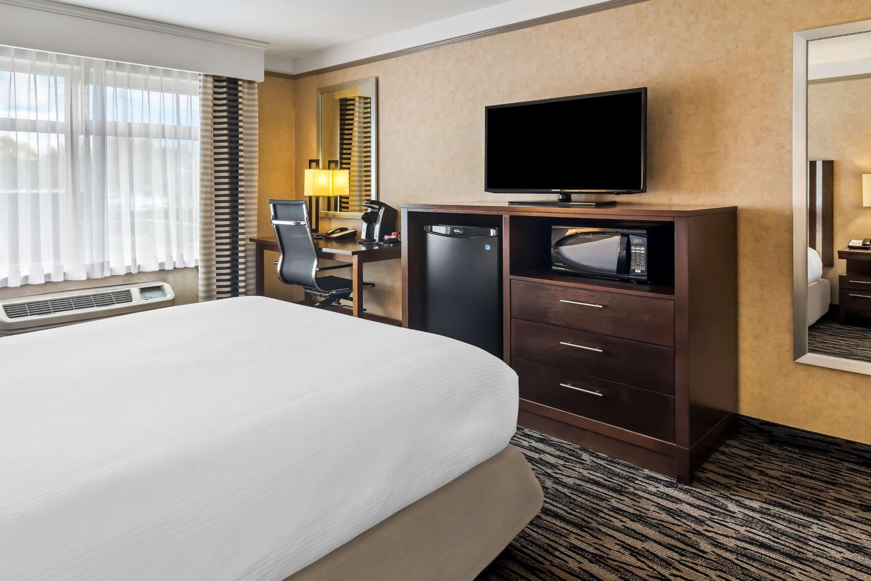 Queen Room - Mobility Access - Photo 1