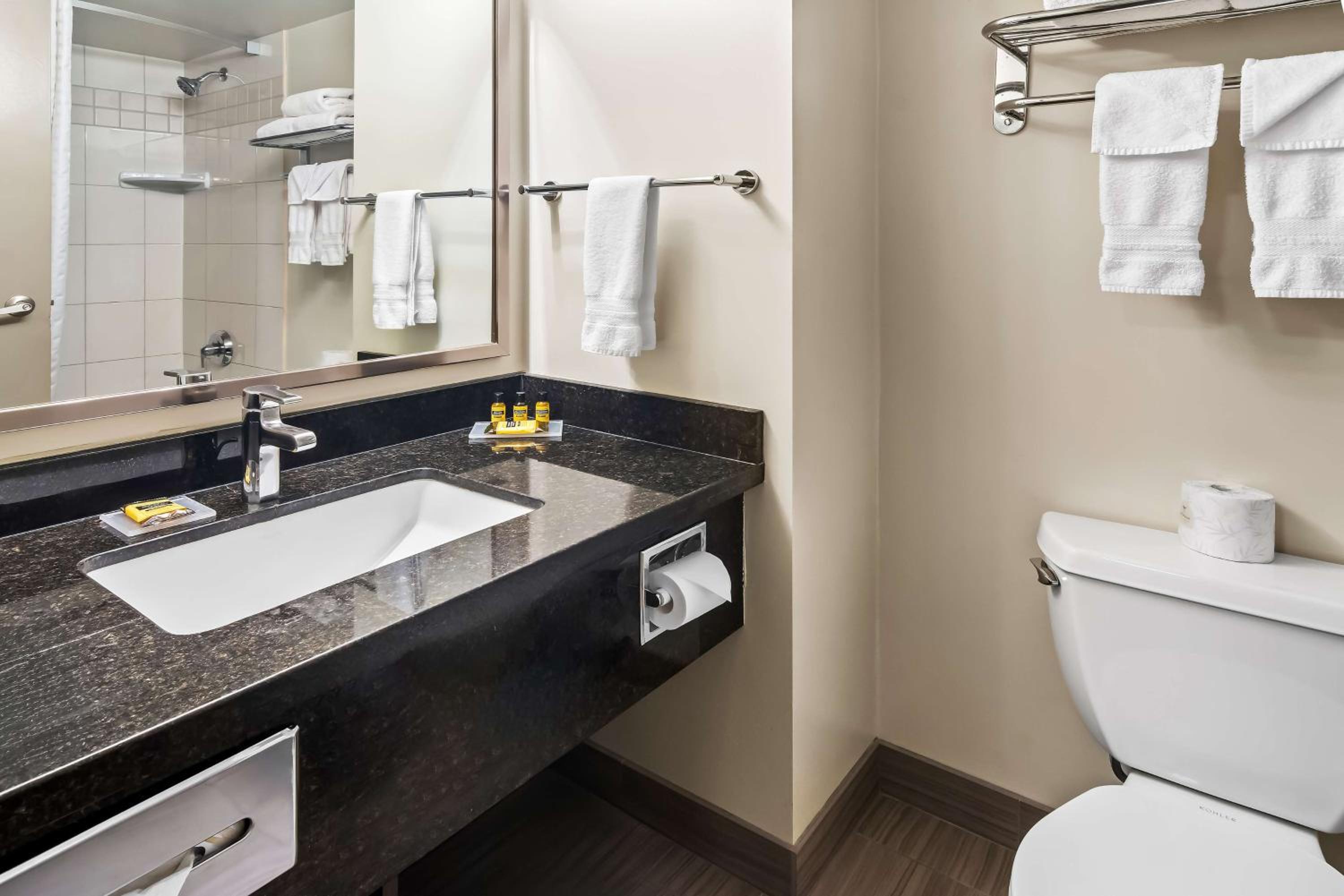 Queen Room - Mobility Access - Photo 4