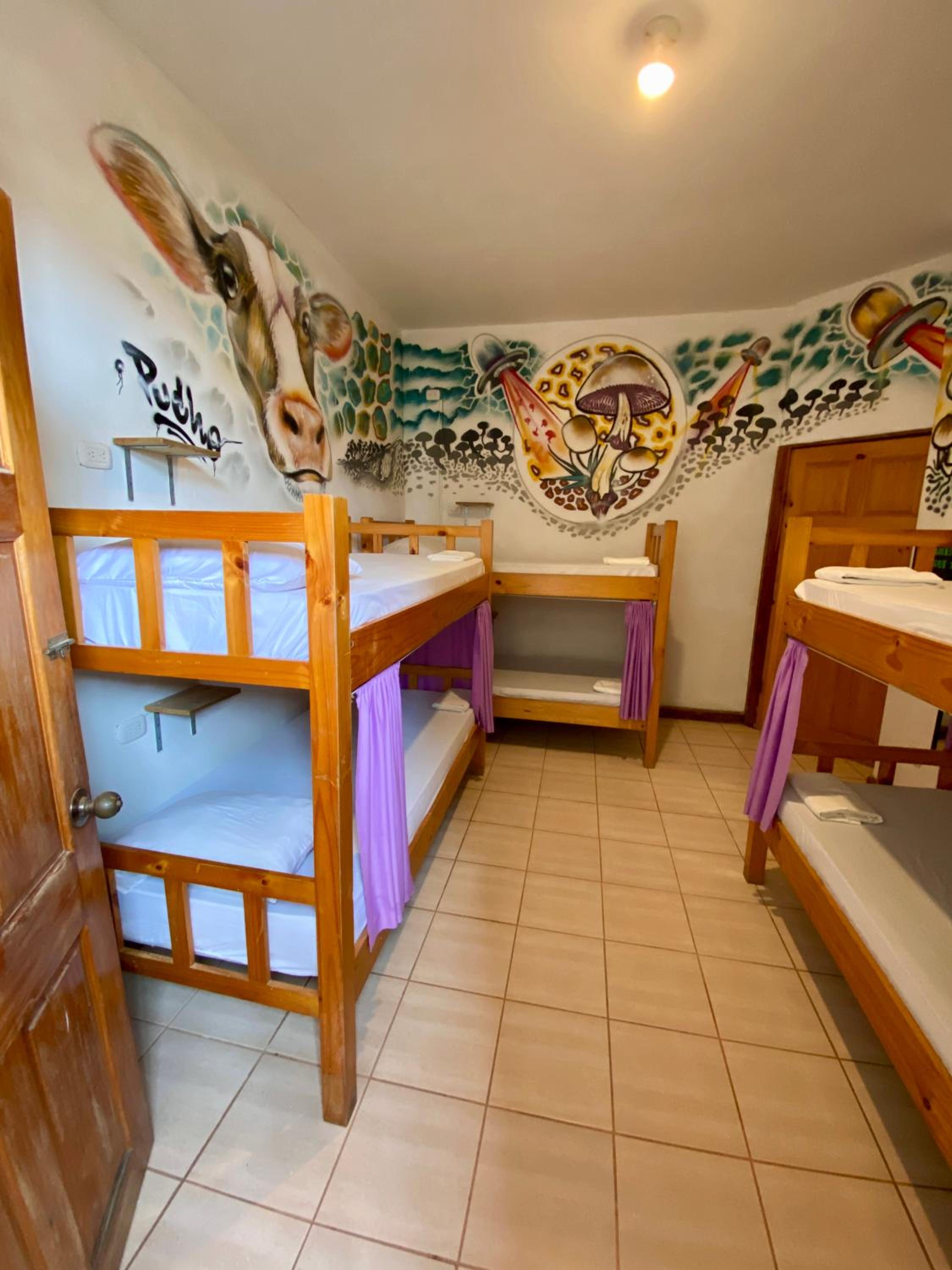 Bed In 6-Bed Female Dormitory Room photo 3