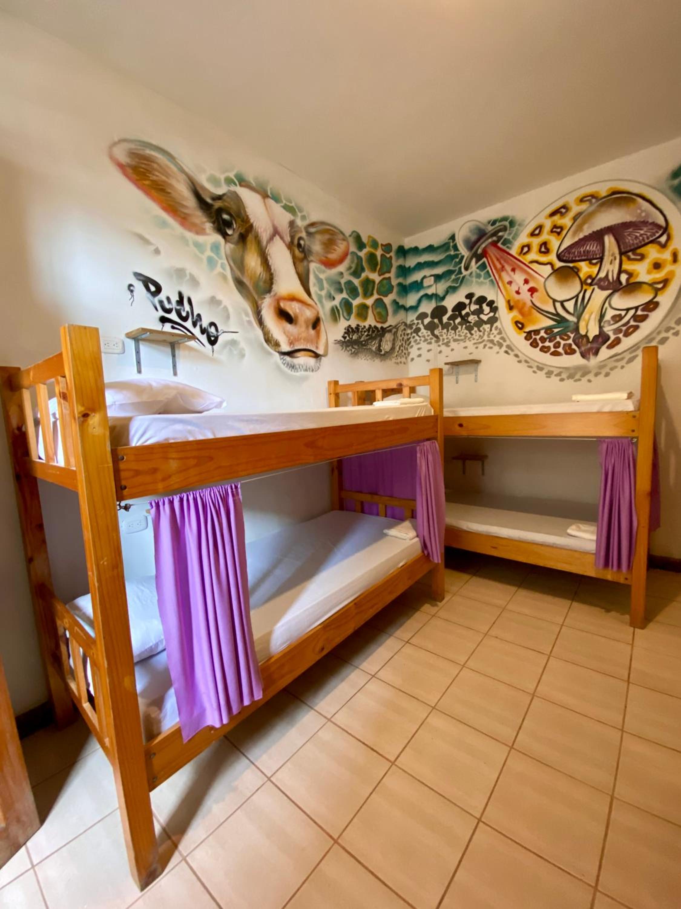Bed In 6-Bed Female Dormitory Room photo 1