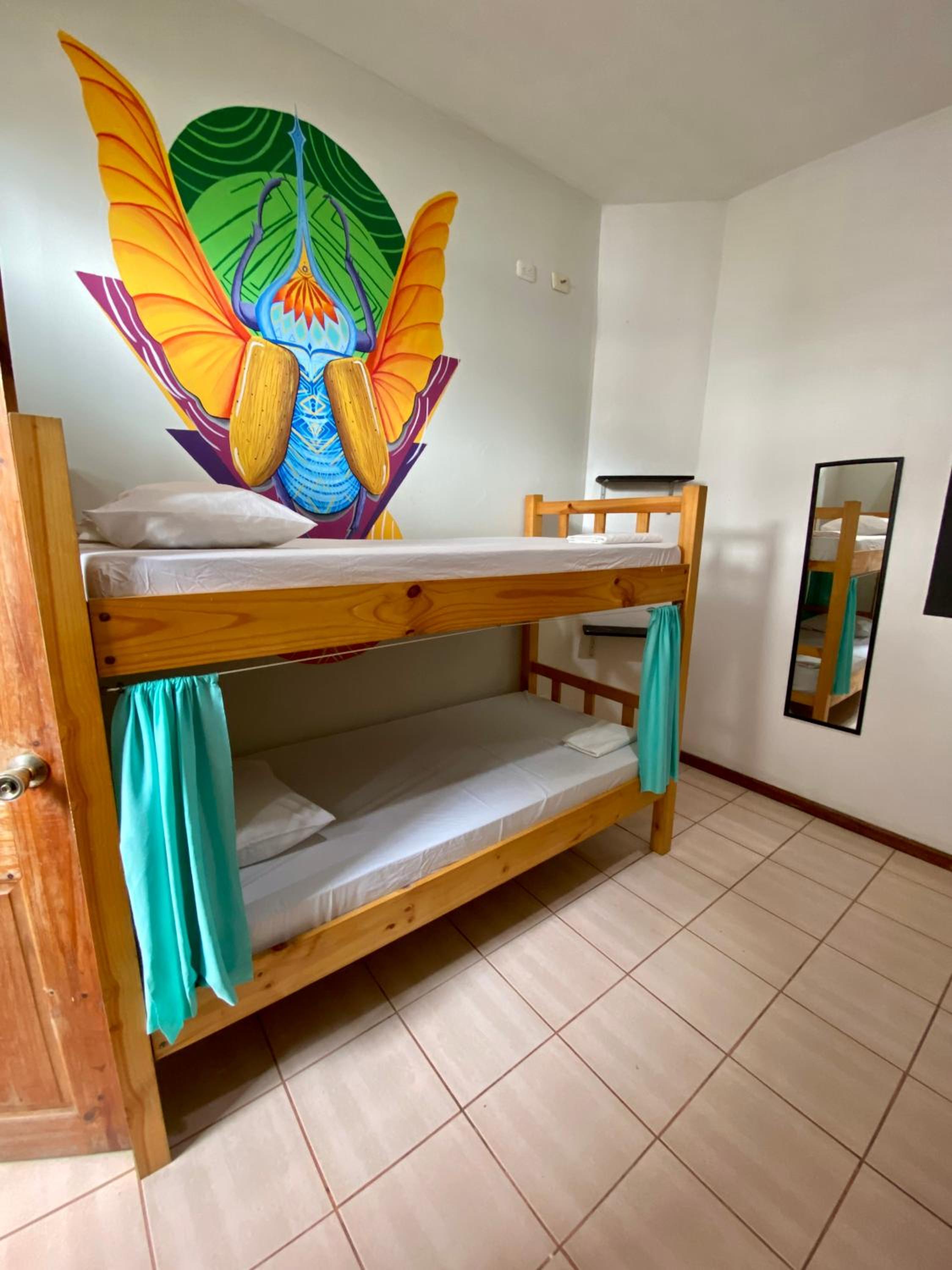 Bed In 4-Bed Mixed Dormitory Room photo 1