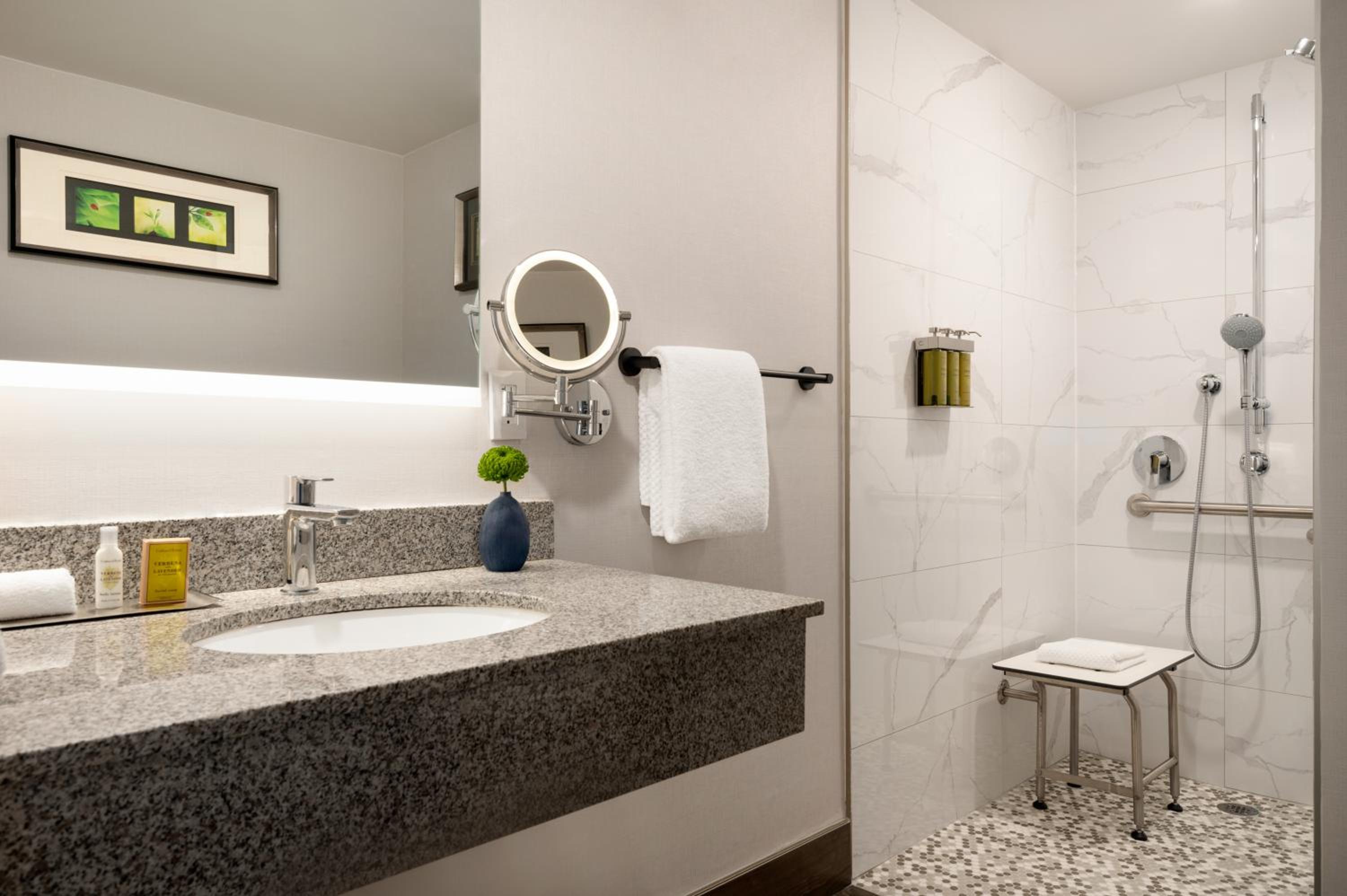 Deluxe King Room - Mobility/Hearing Accessible - Photo 3