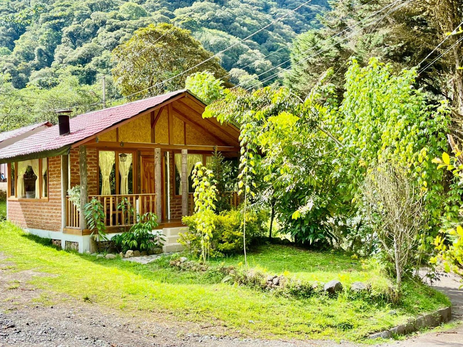 One-Bedroom Chalet photo 2