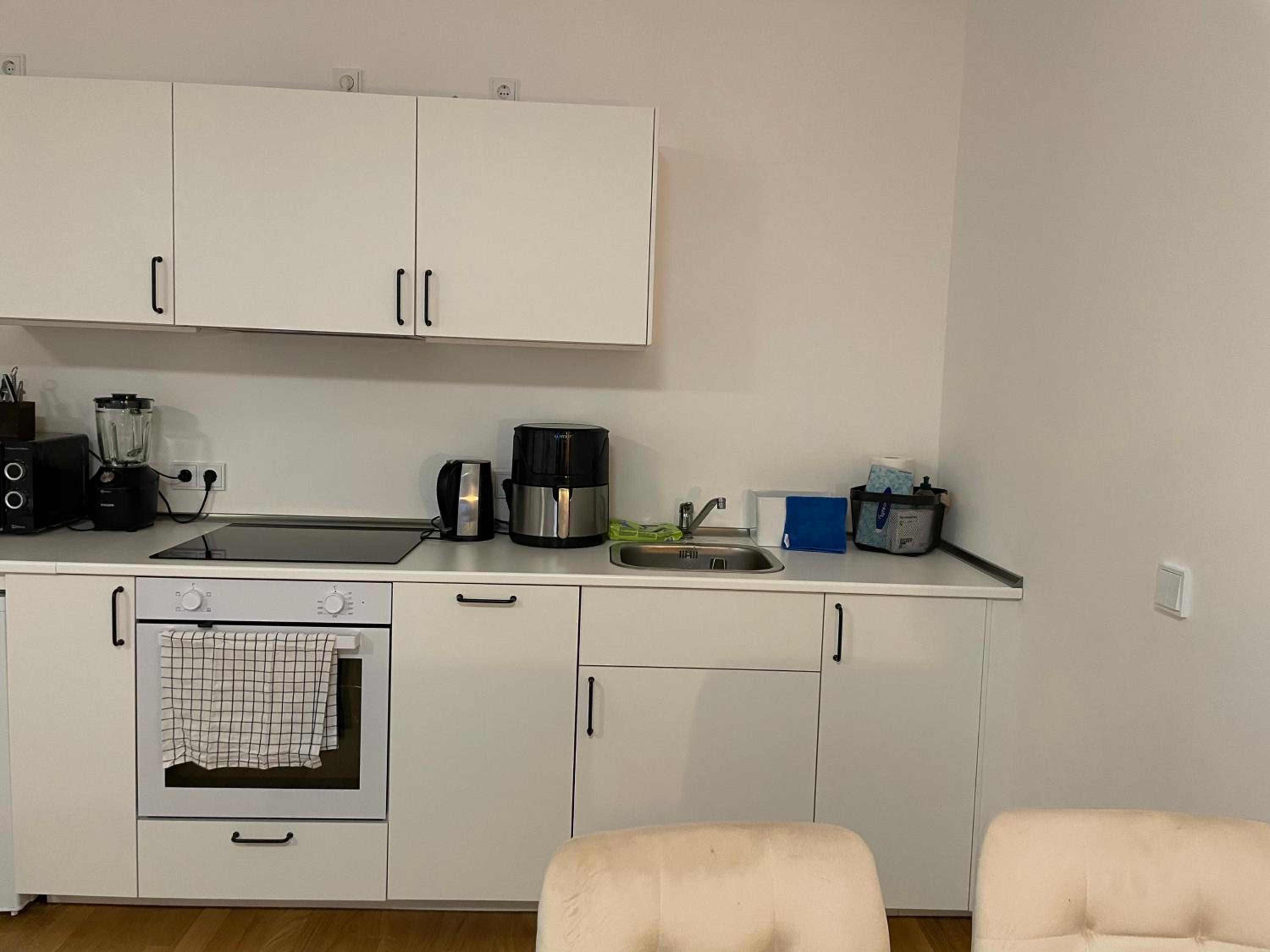 One-Bedroom Apartment photo 3