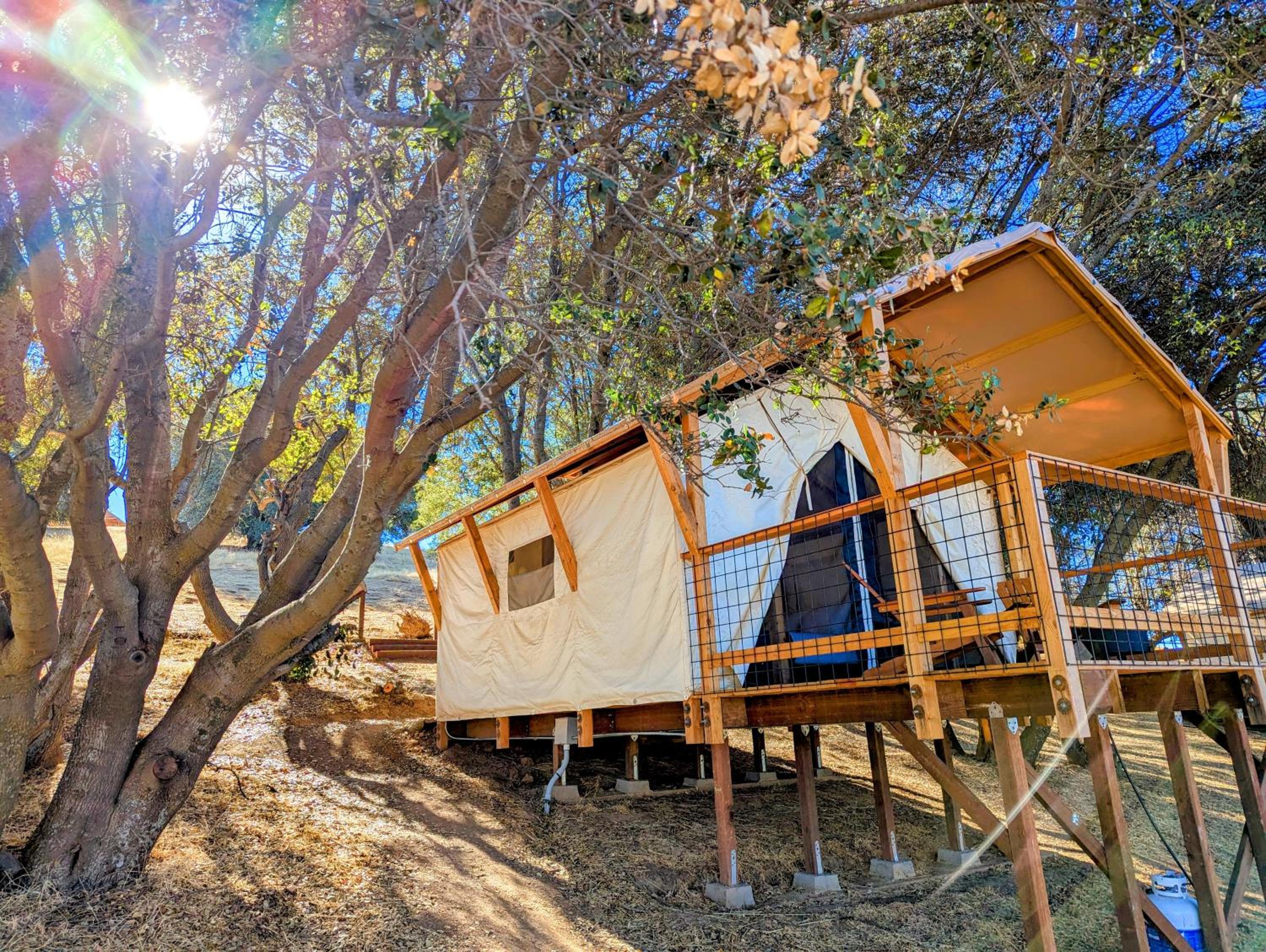 Premium Tent - 1 Queen  - Photo 9